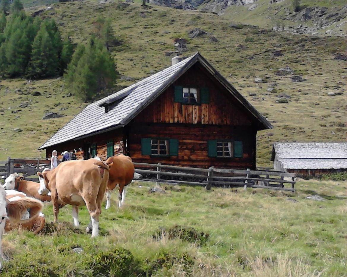 Karnerhof