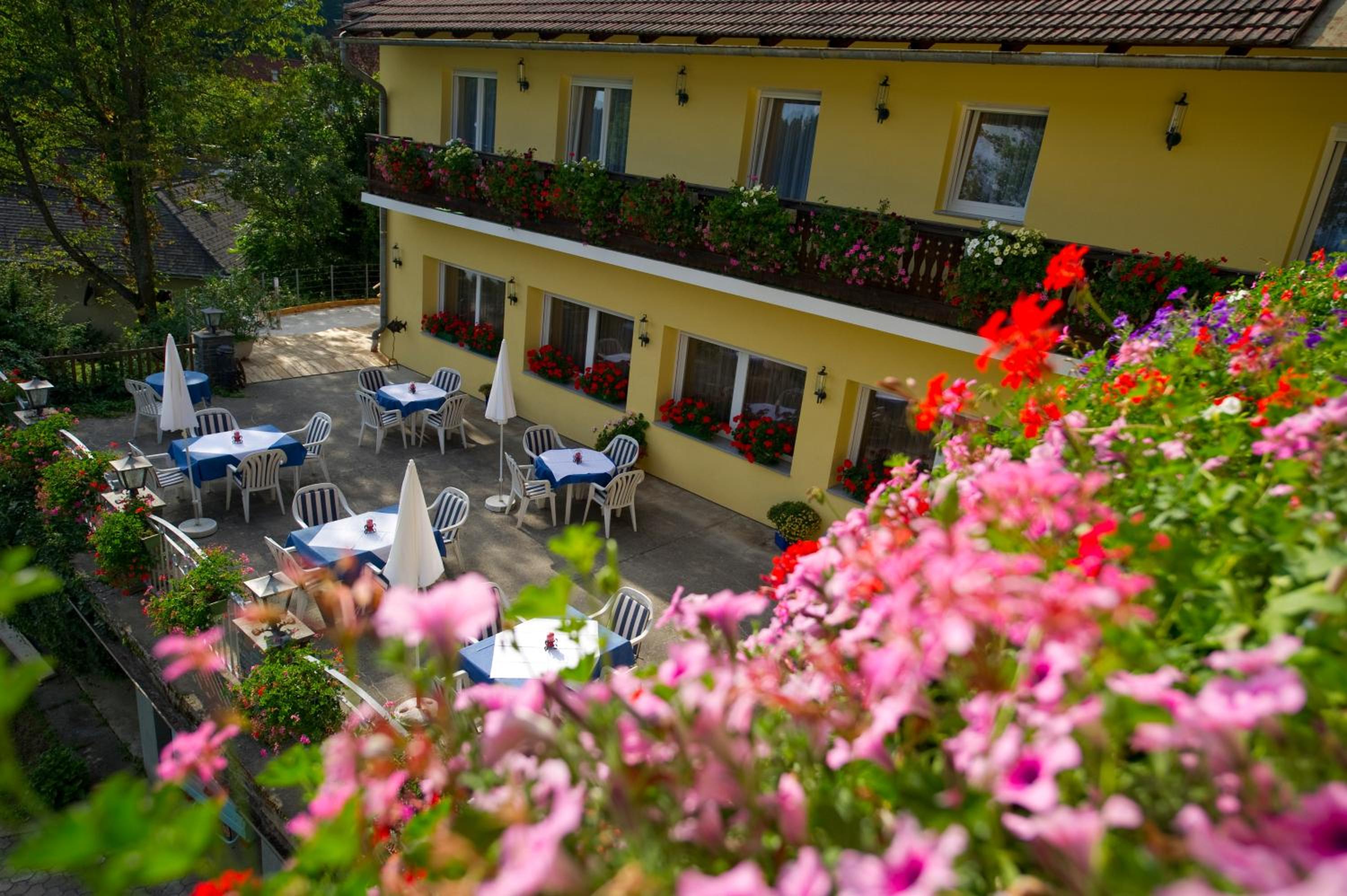 Pension Appartement Lanzer