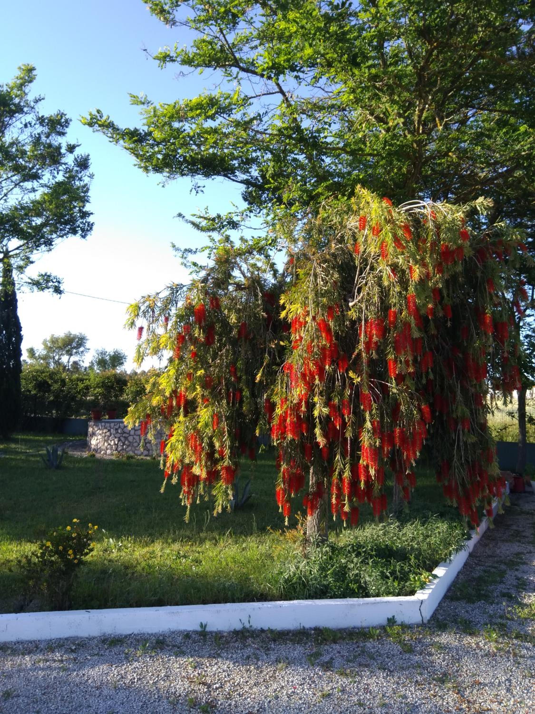 Отель Casa Zanzibar — photo 5