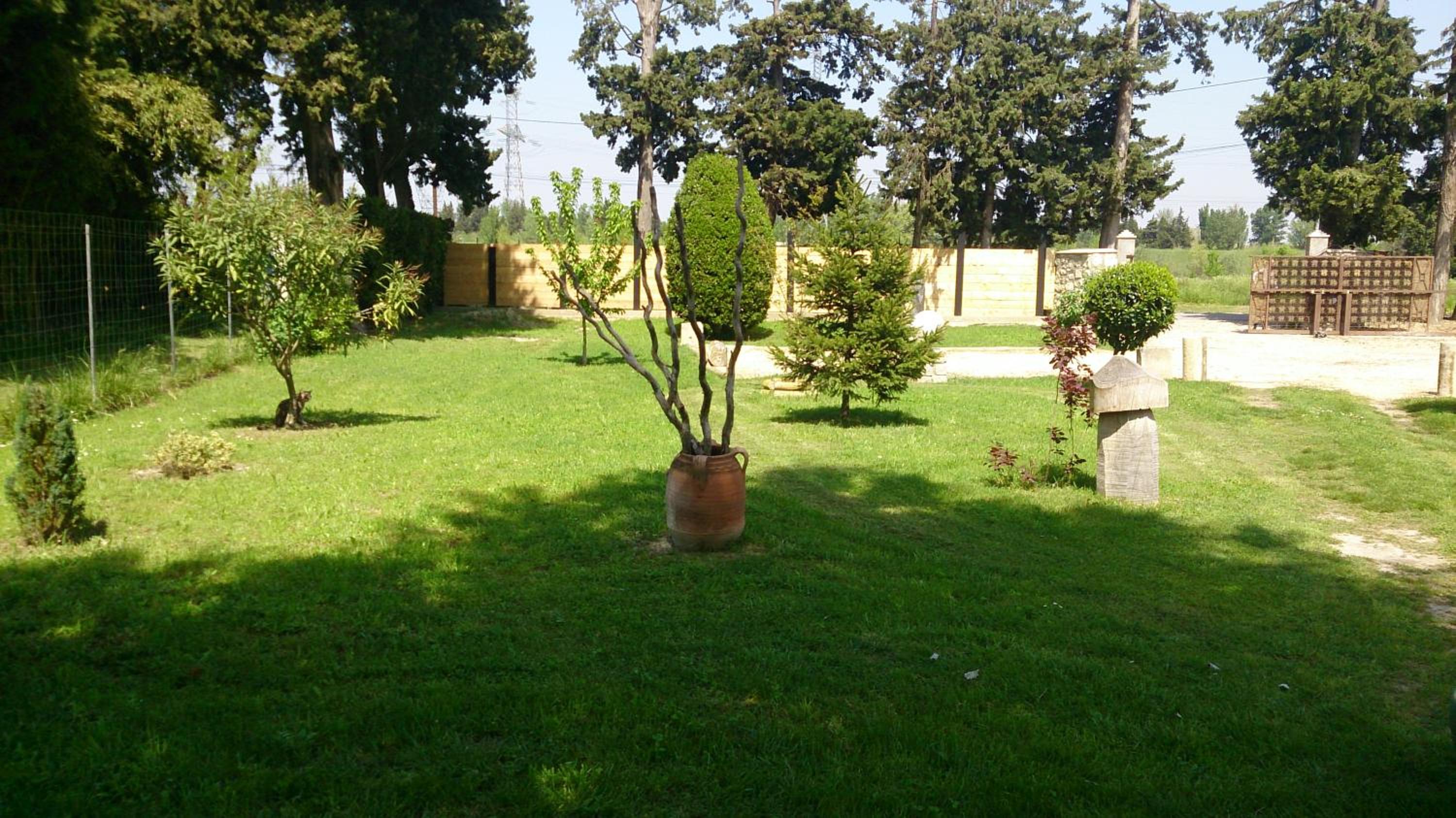 Photo 26