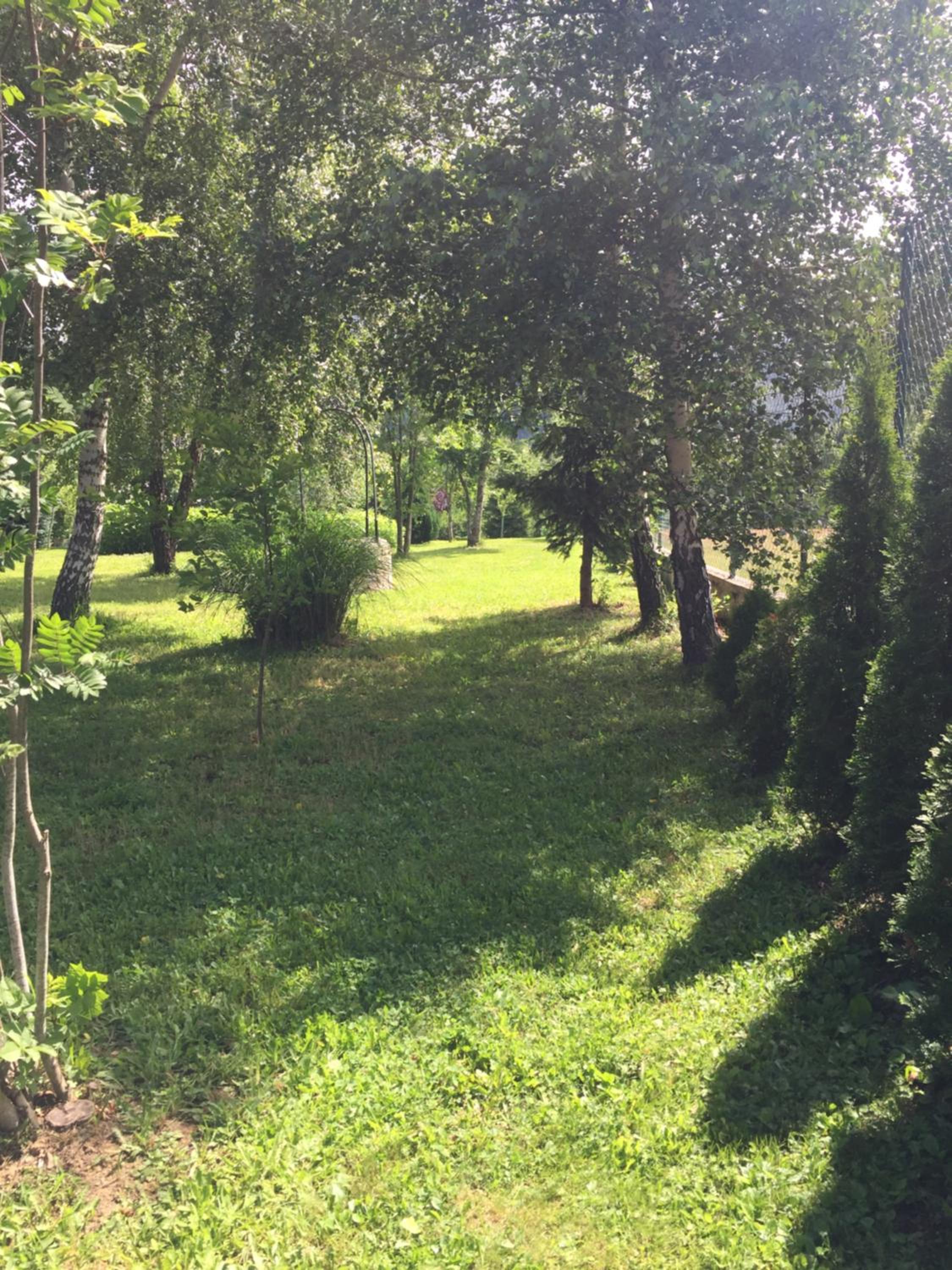 Photo 38