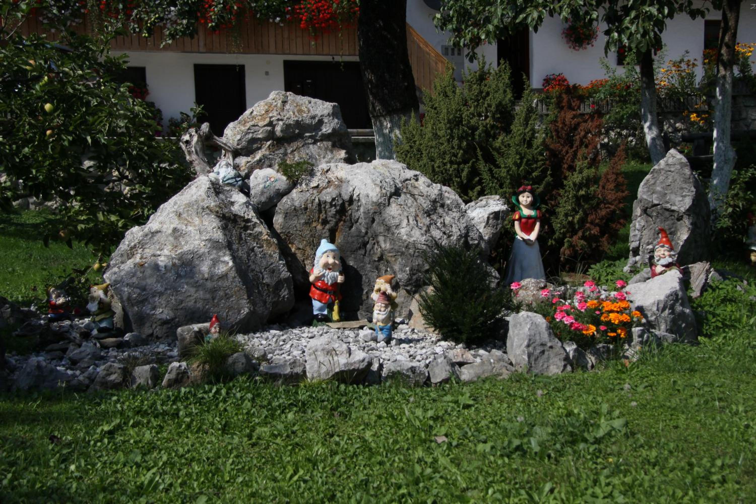 Photo 25
