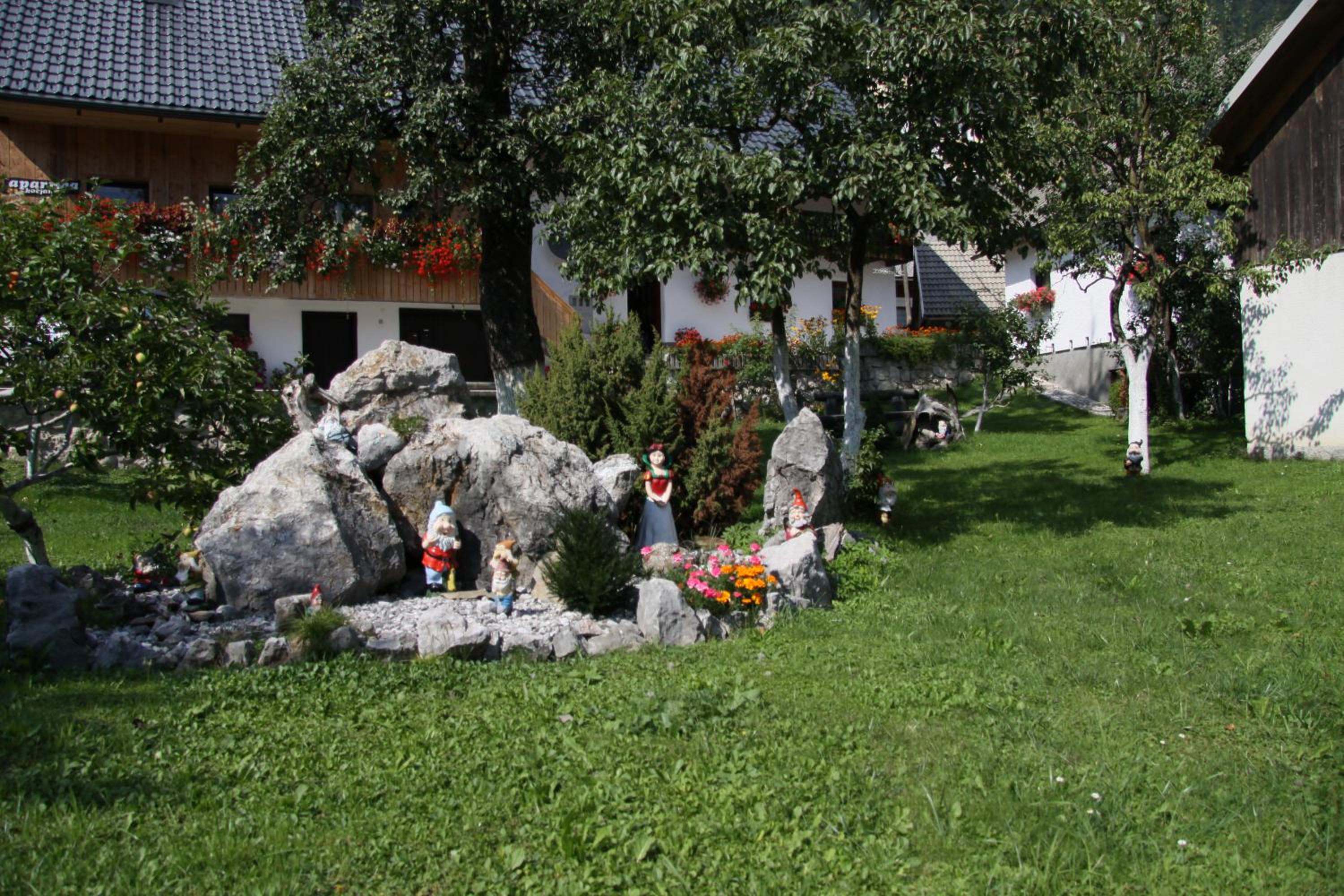 Photo 24