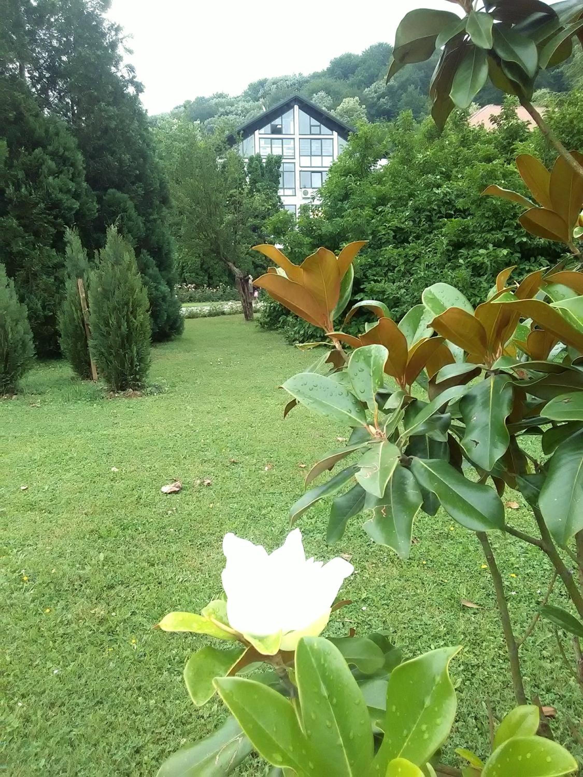 Photo 49