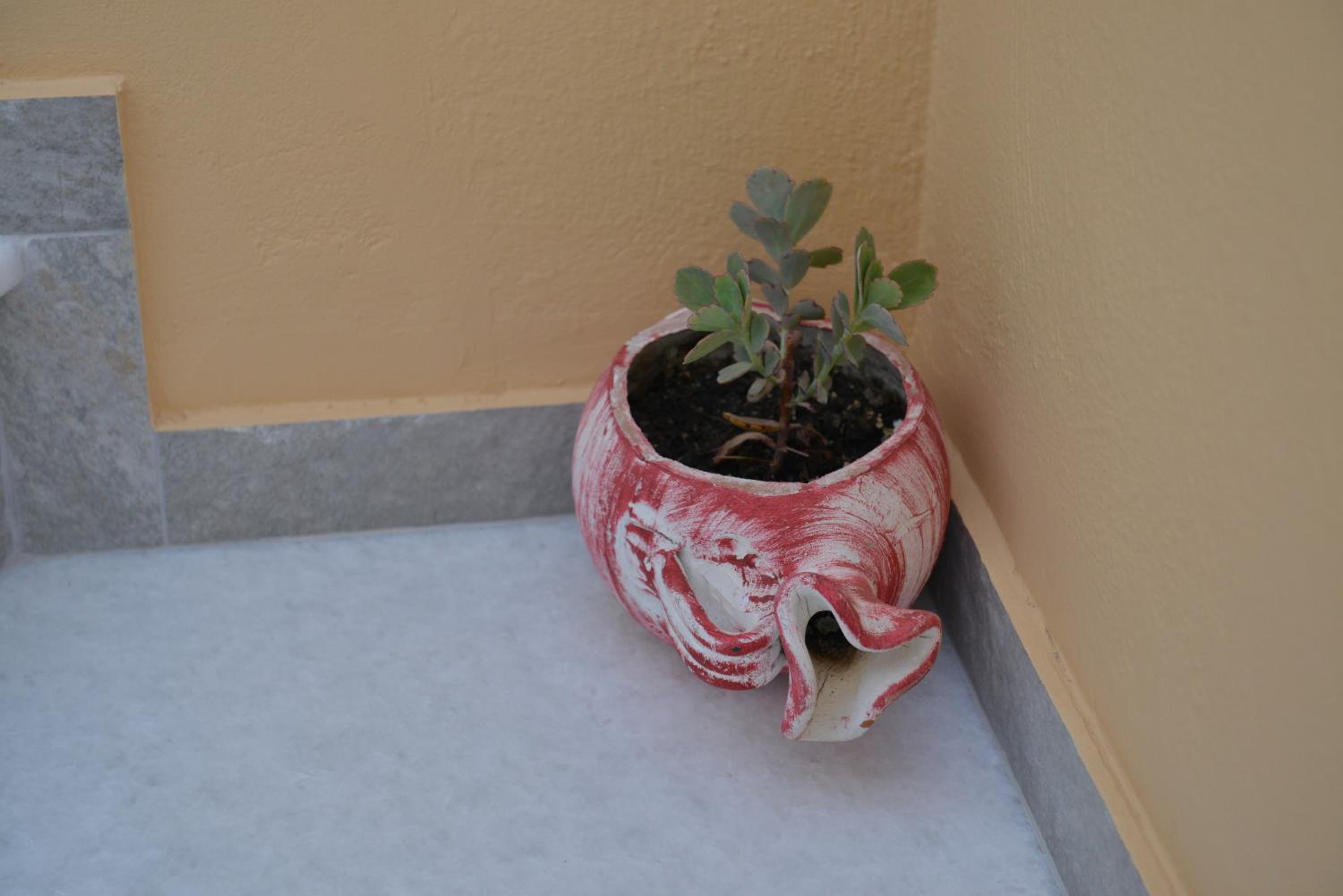 Photo 36