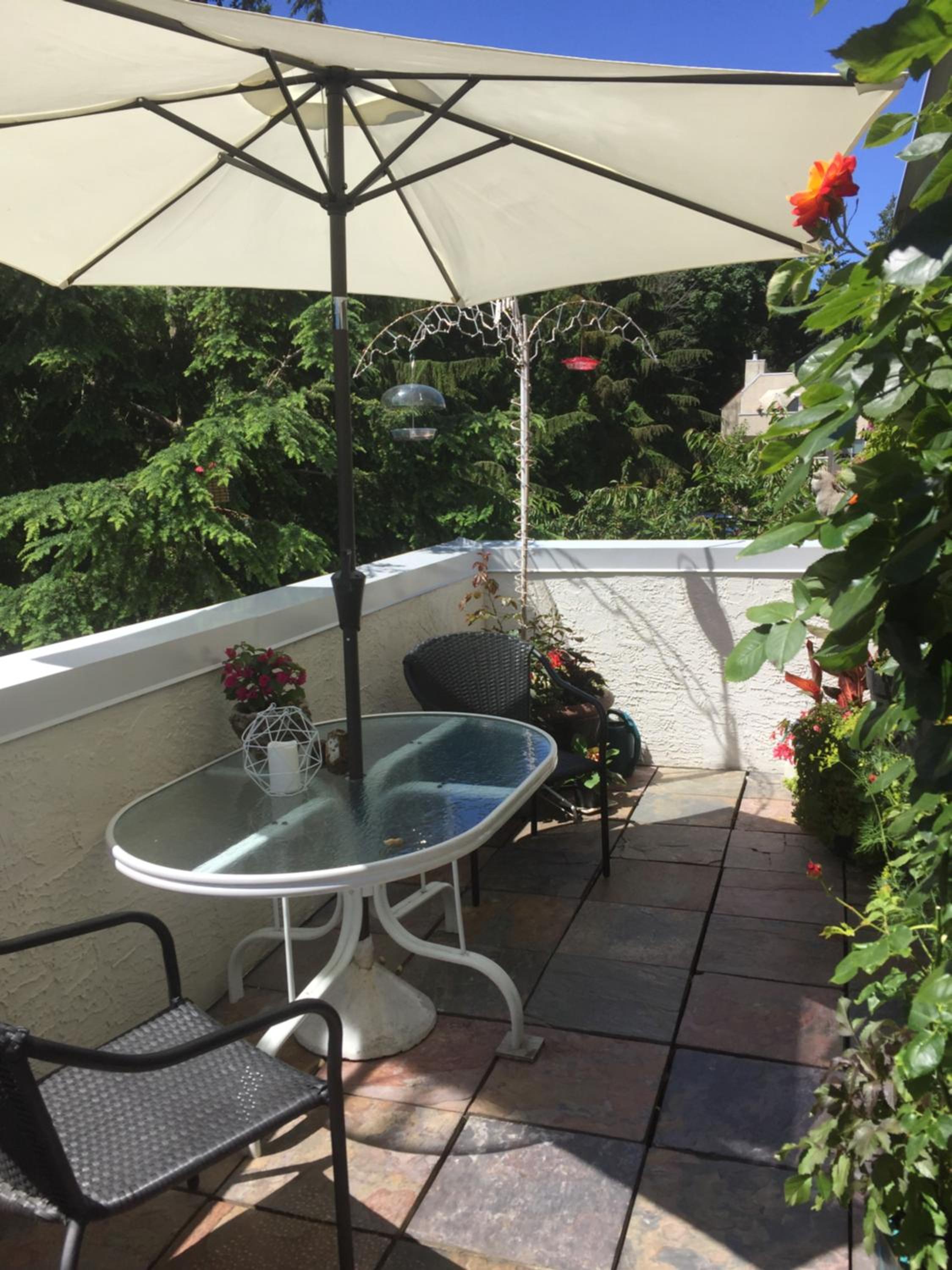 A Room at the Camelia Bed and Breakfast