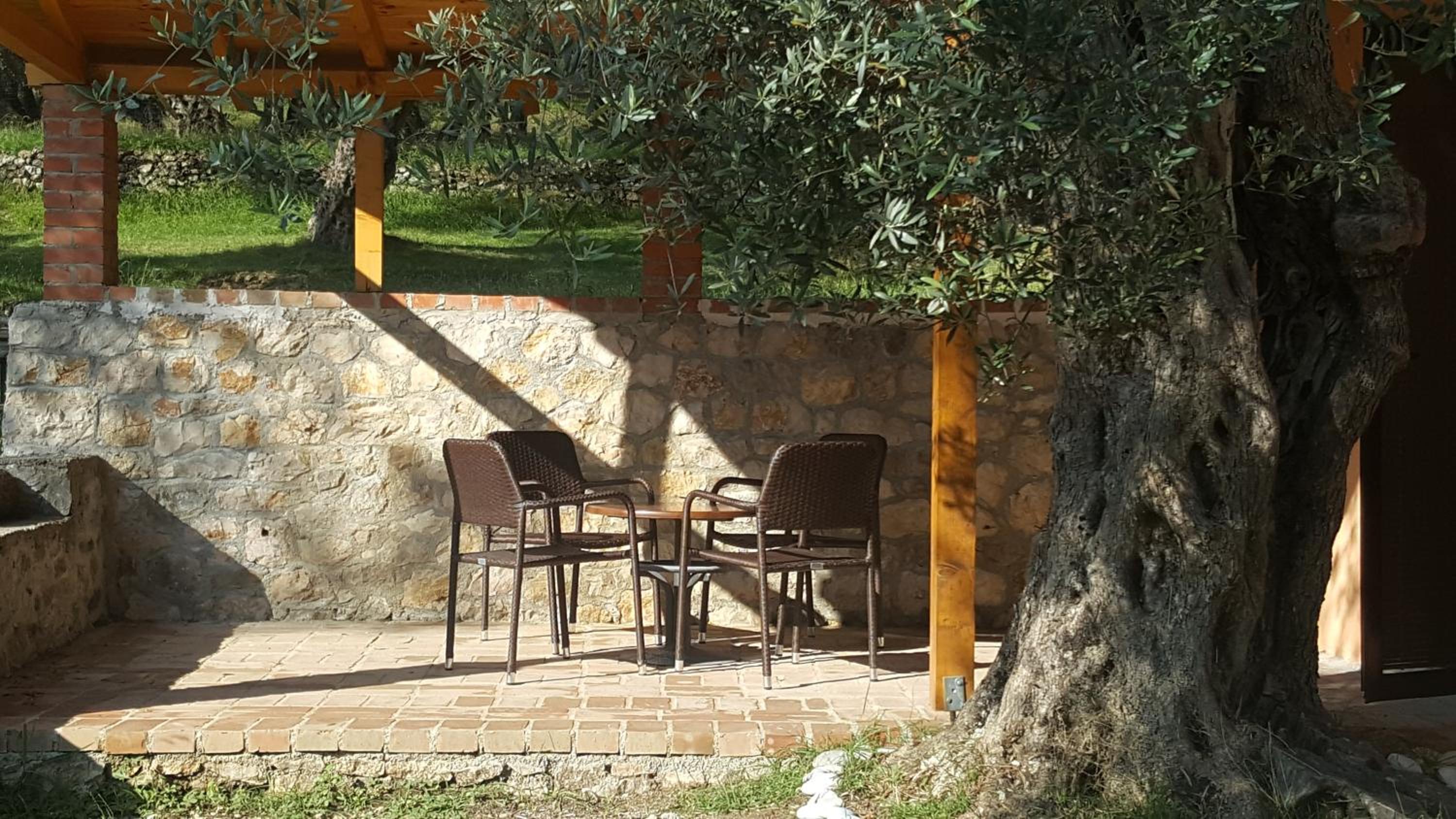 Olive Paradise