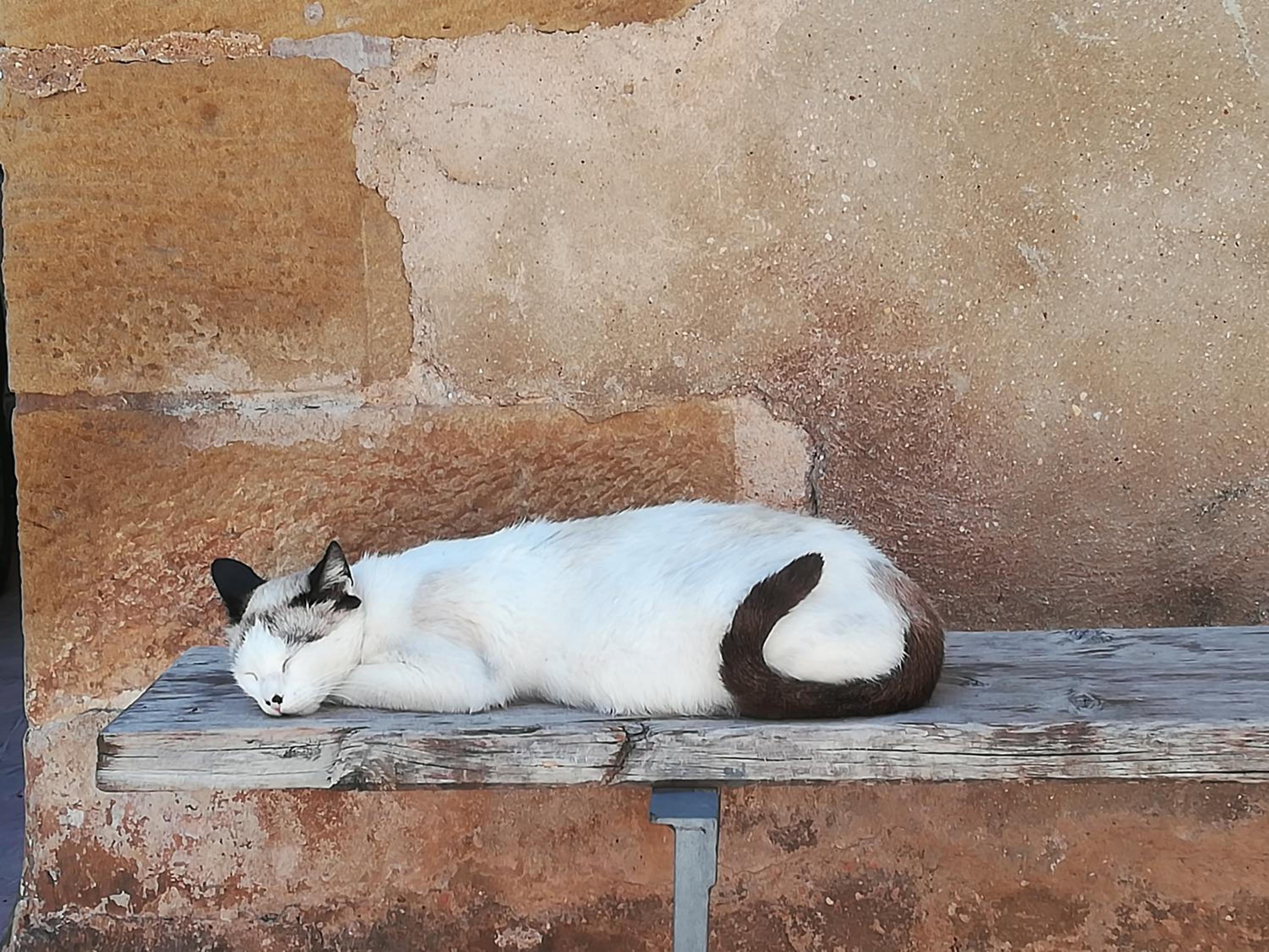 Cal Tomas, Ecoturisme Terra Alta