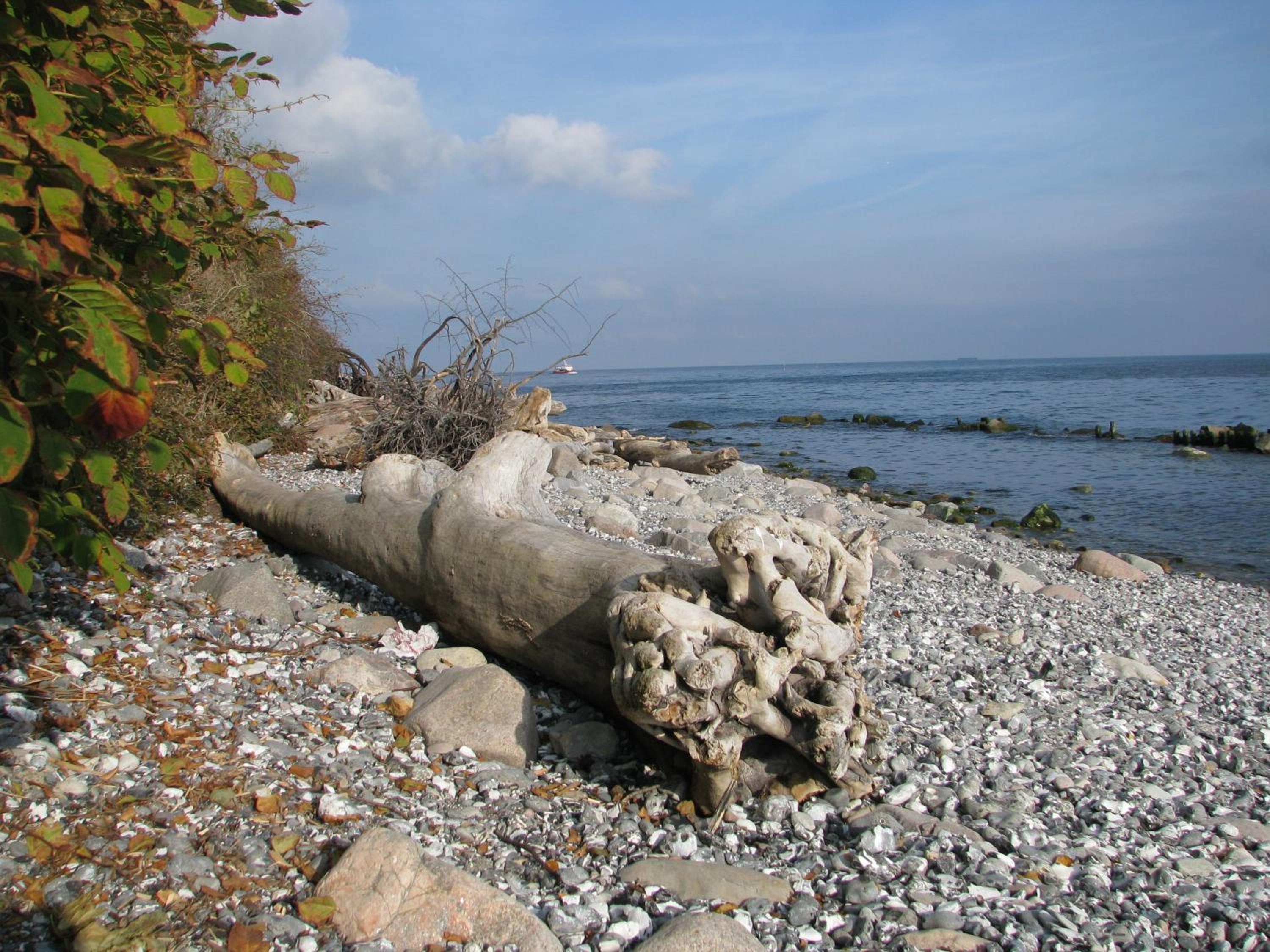 Photo 25