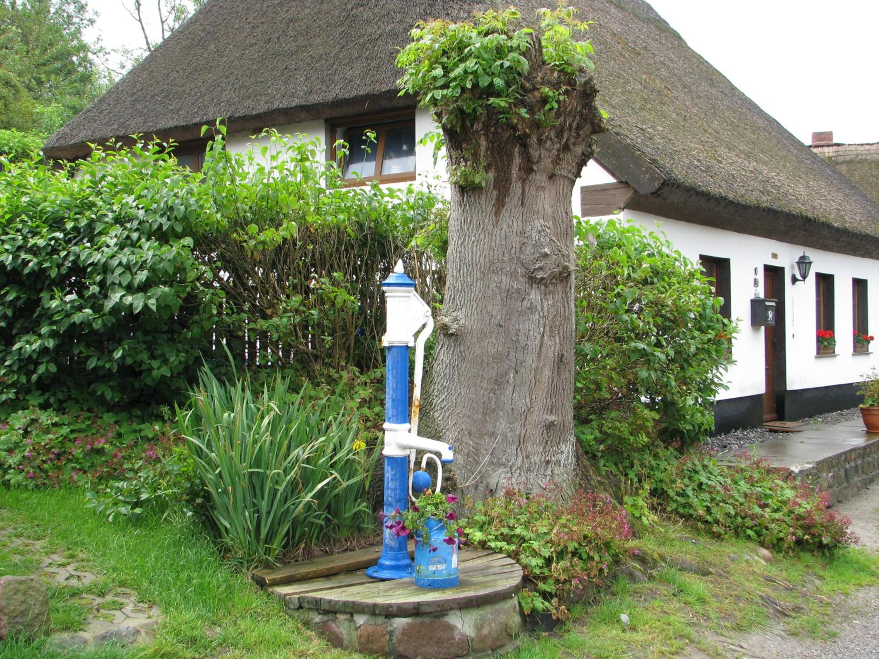 Photo 26