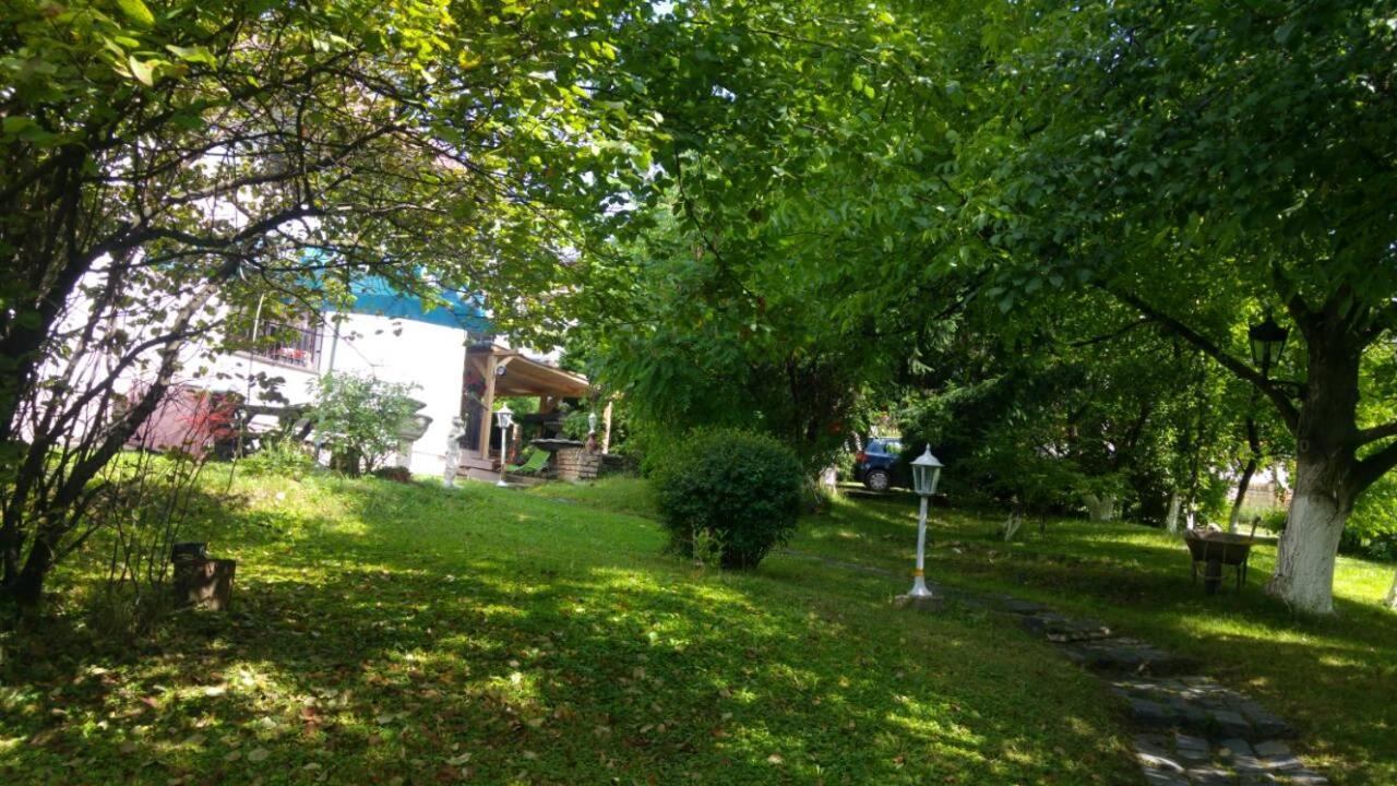 Green Garden
