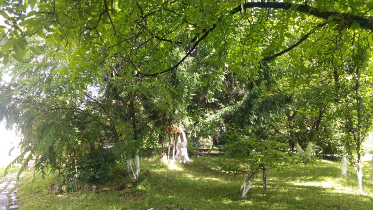 Green Garden