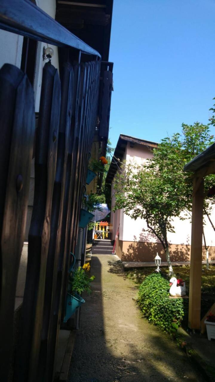 Green Garden