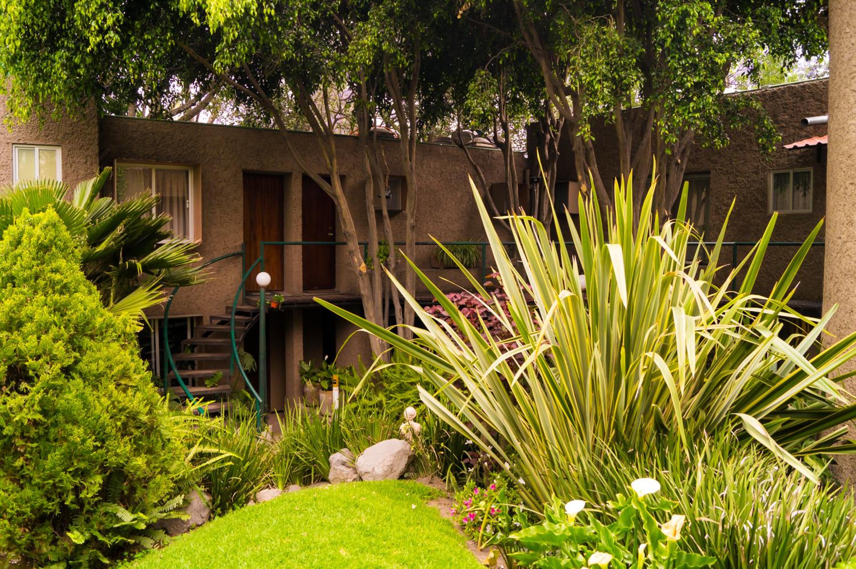 Suite 4B Bazzar, Garden House, Welcome to San Angel — Mexico City