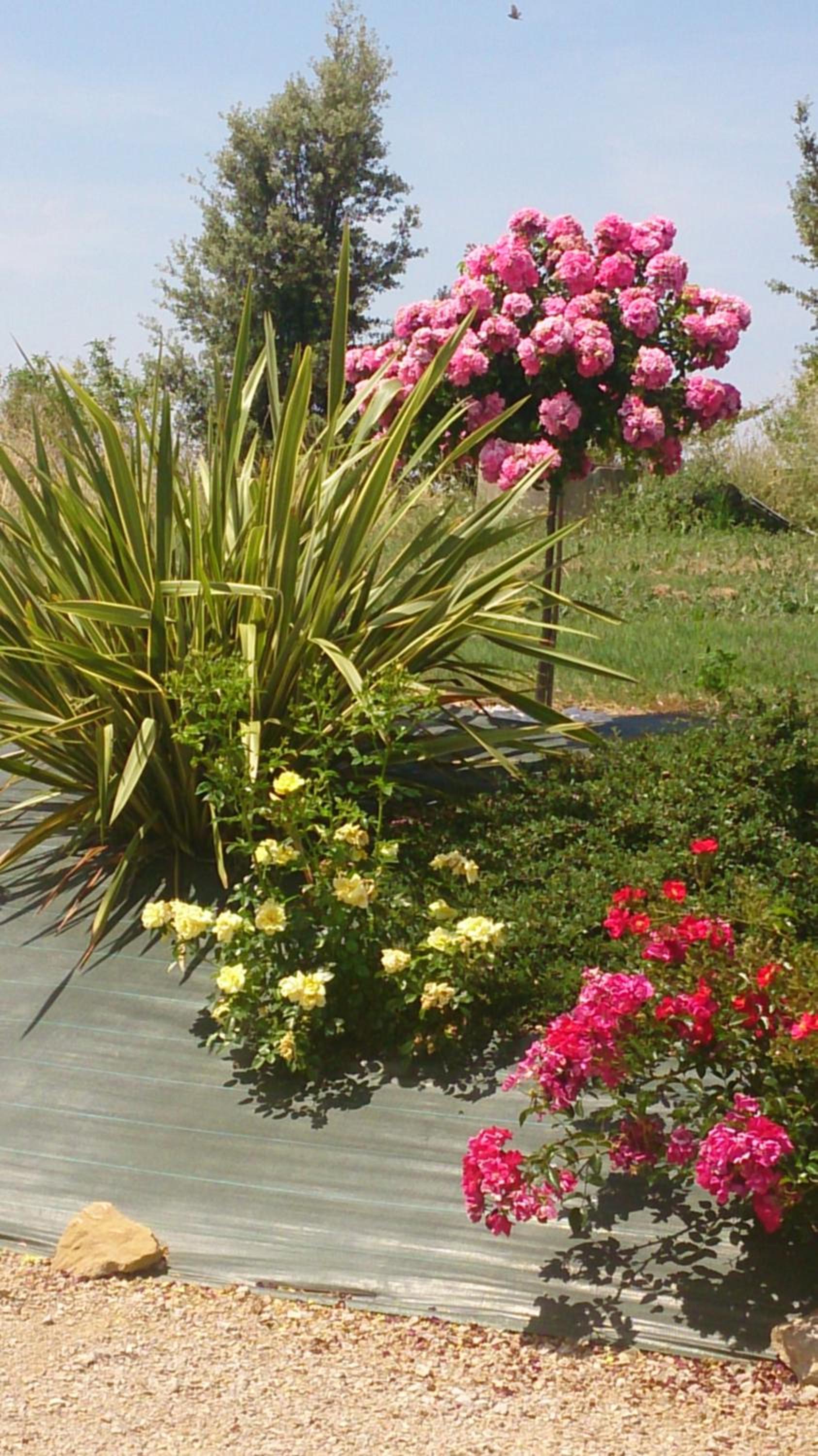 Photo 7