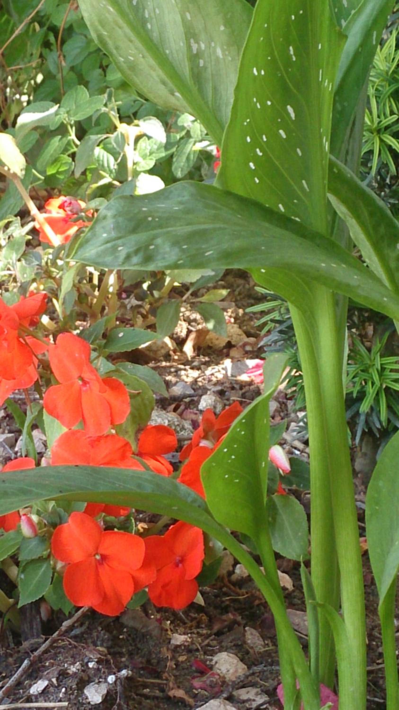 Photo 10