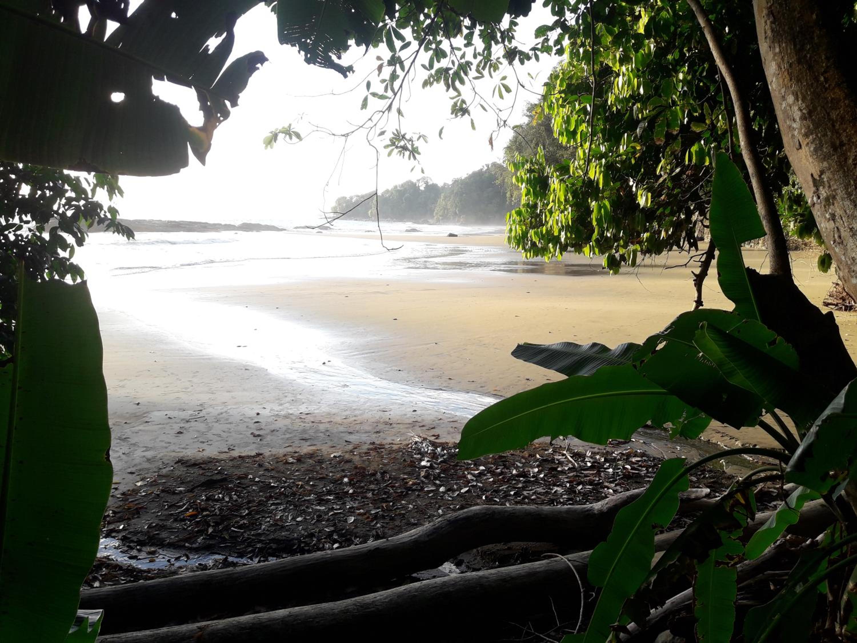 Las Brisas del Sur