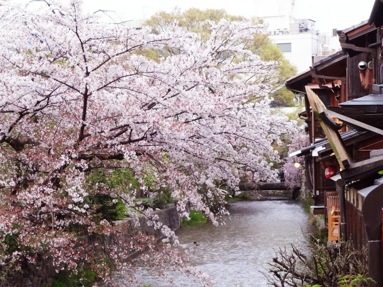 Kyomachiya Ebisu Private Luxury Townhouse in Higashiyama