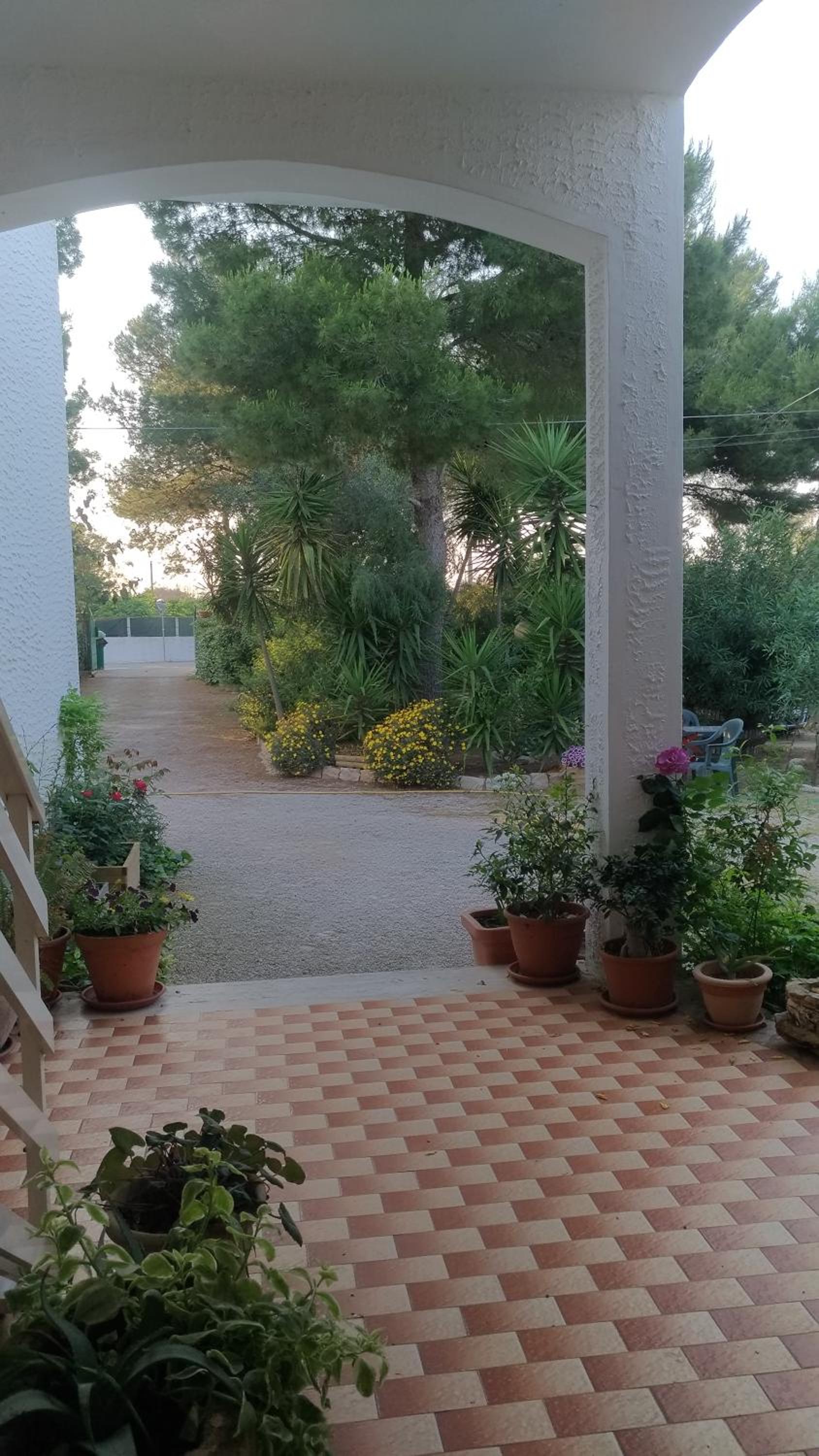 Agriturismo Palese