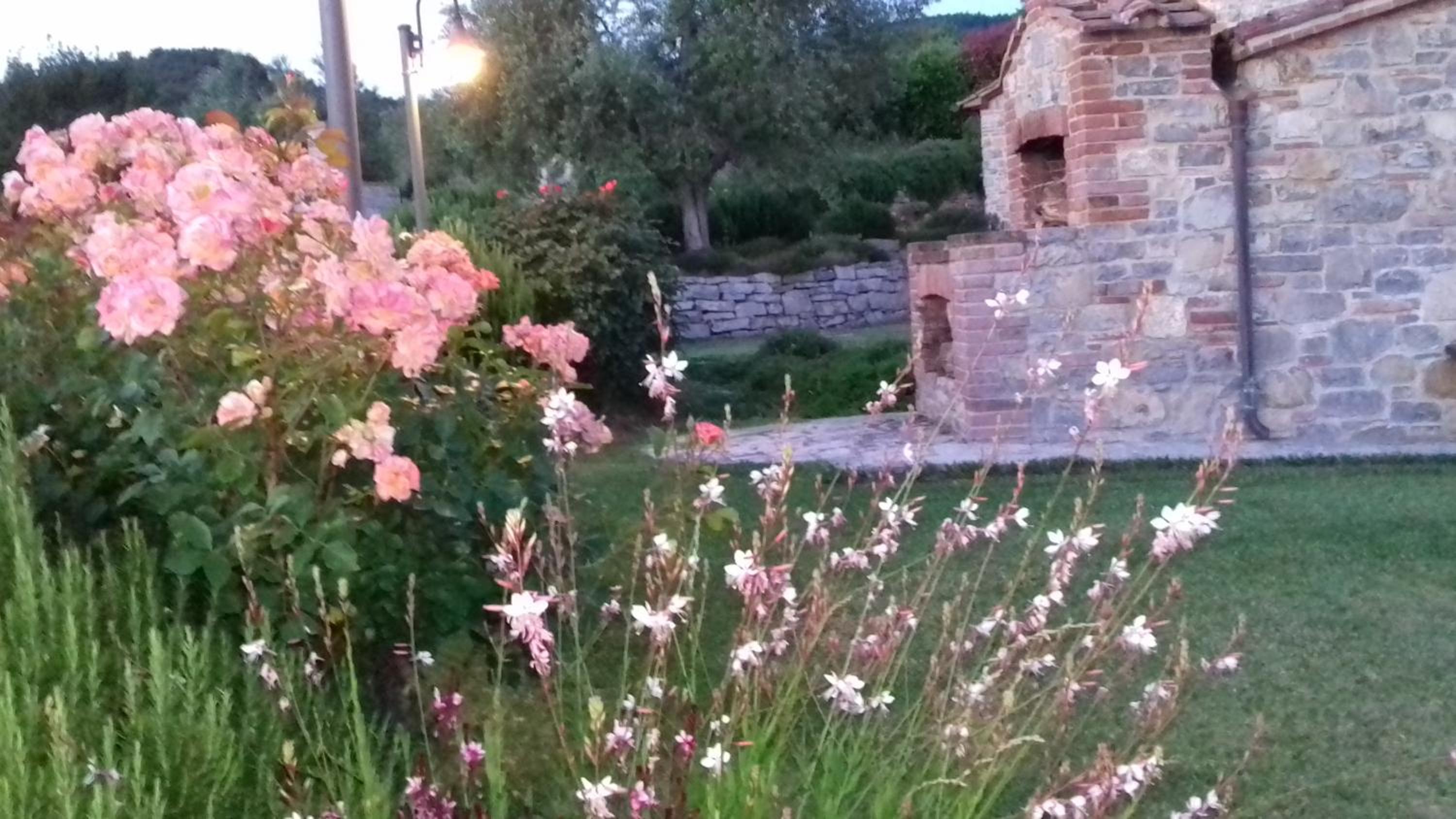 Agriturismo Valiana view 2