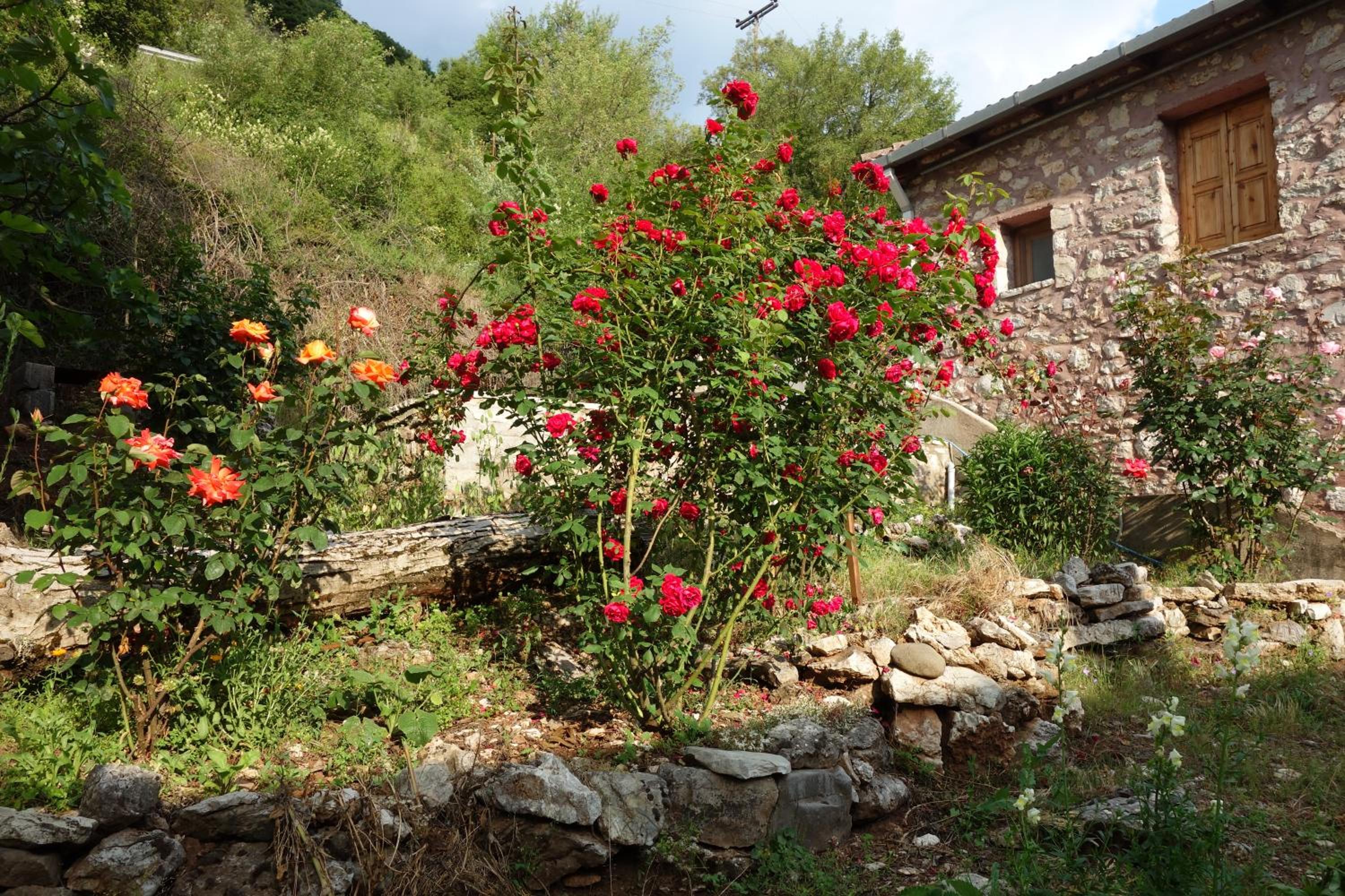 Photo 26