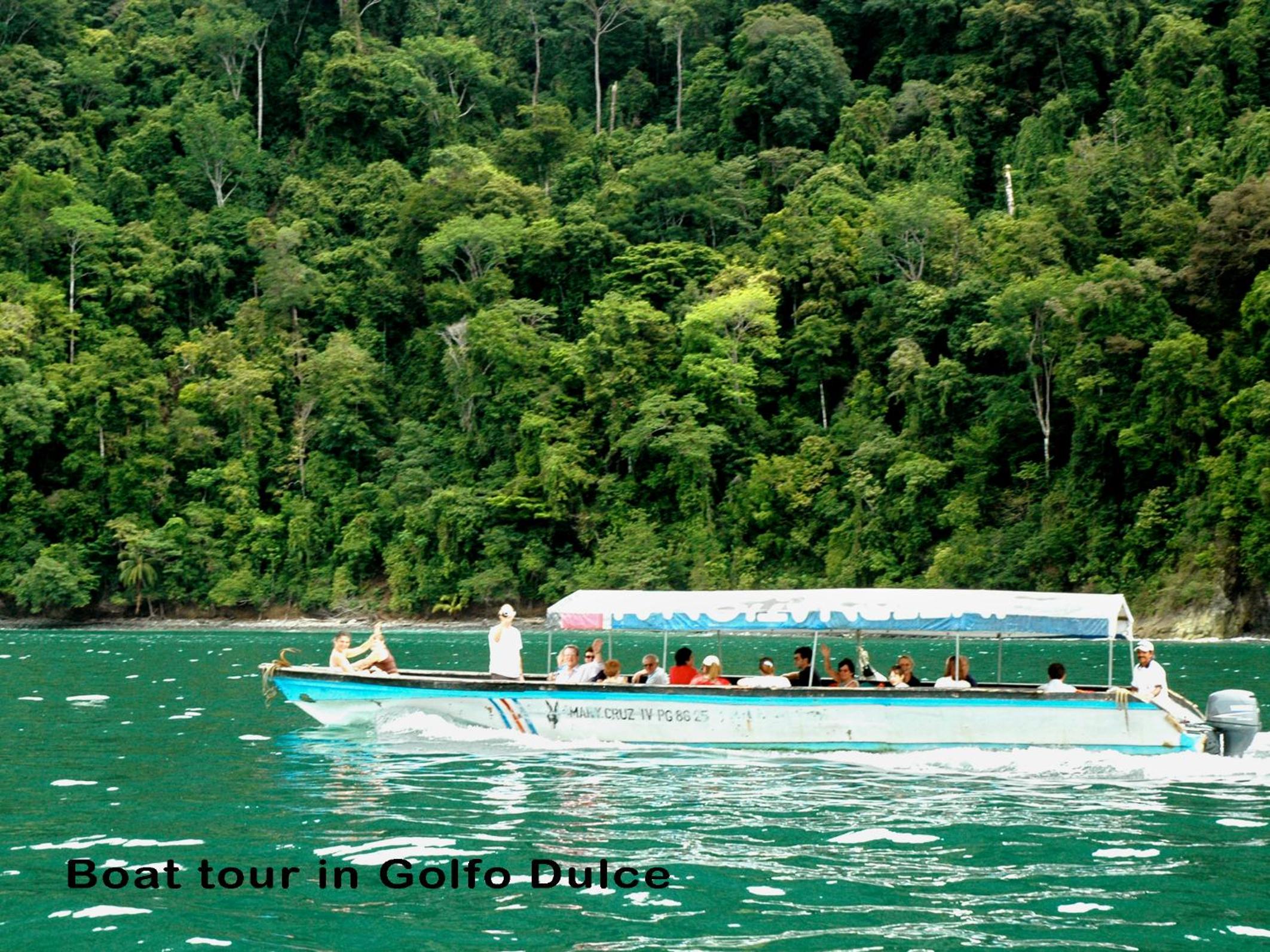 Esquinas Rainforest Lodge
