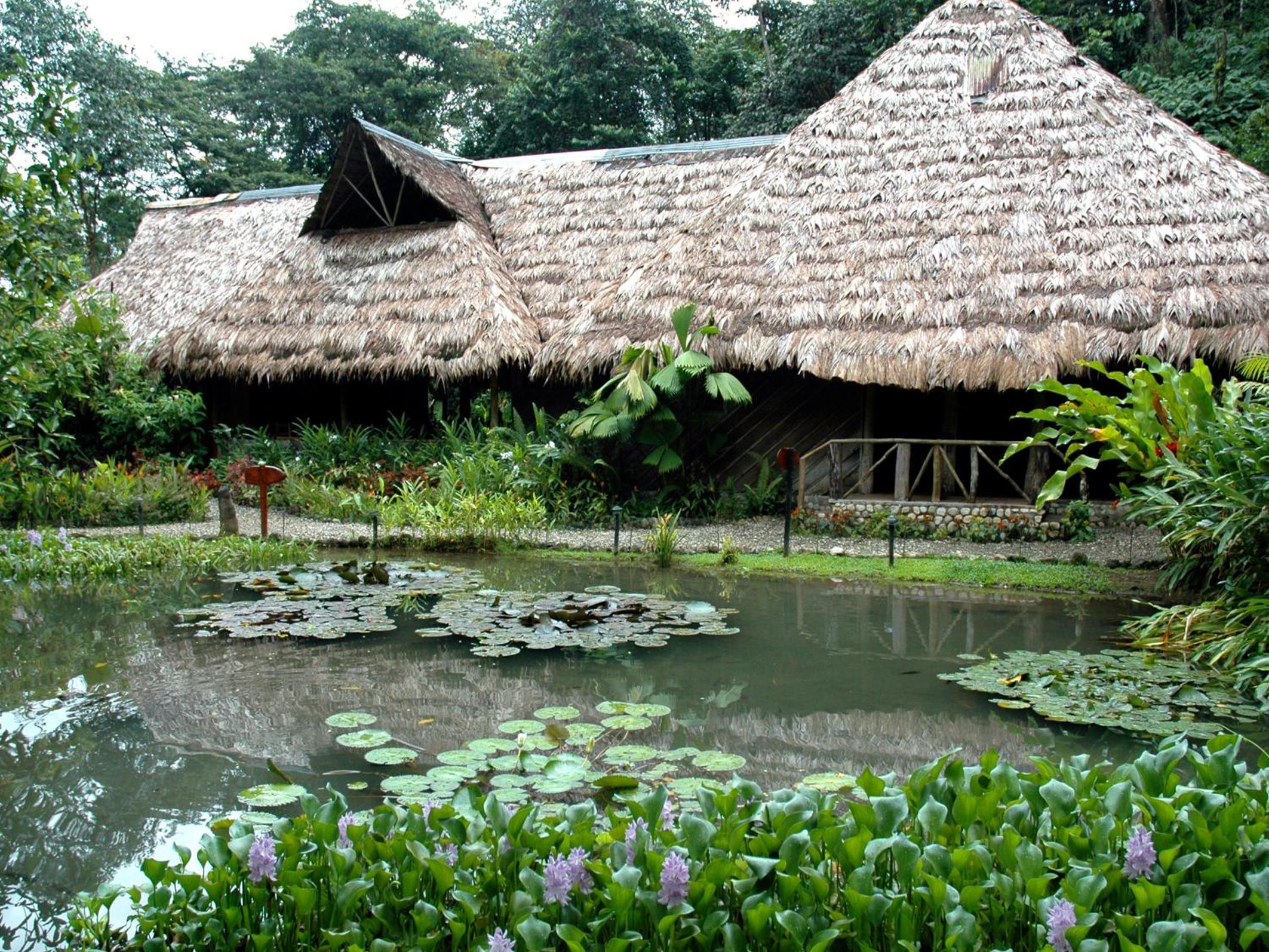 Esquinas Rainforest Lodge