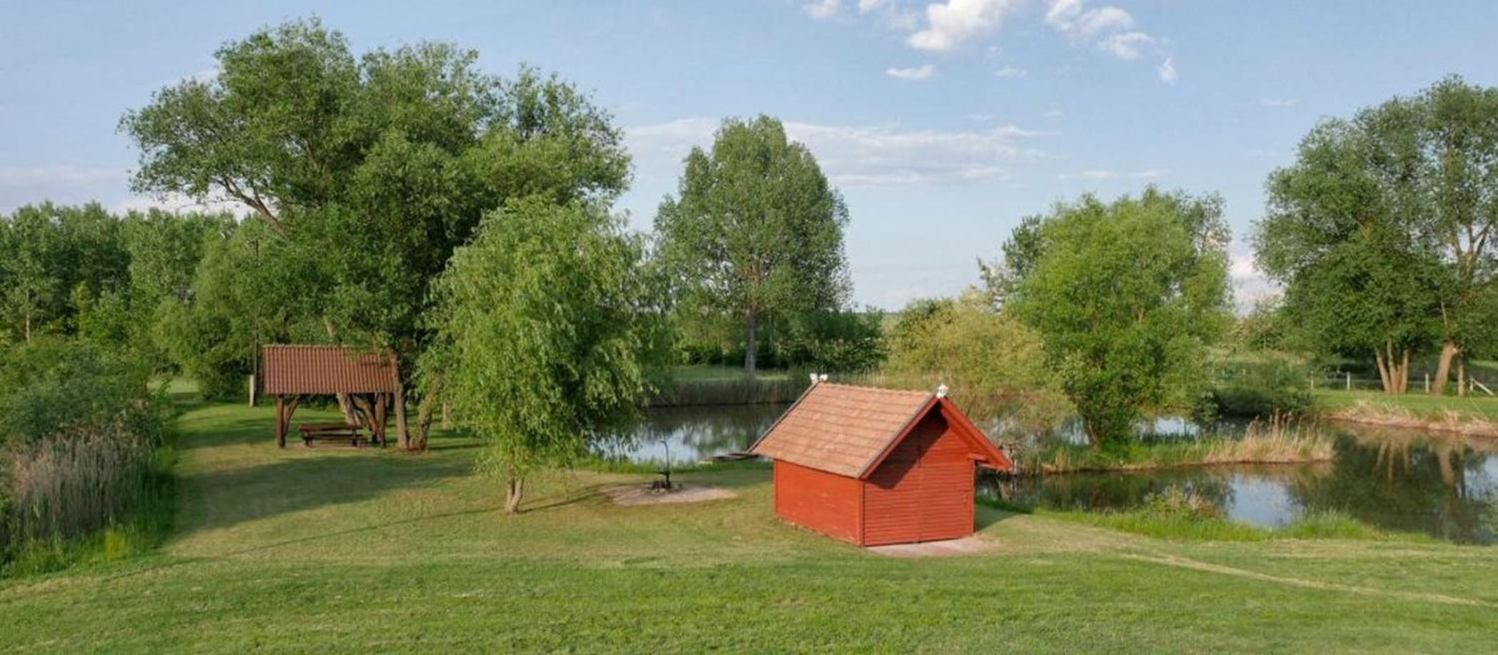 Photo 44