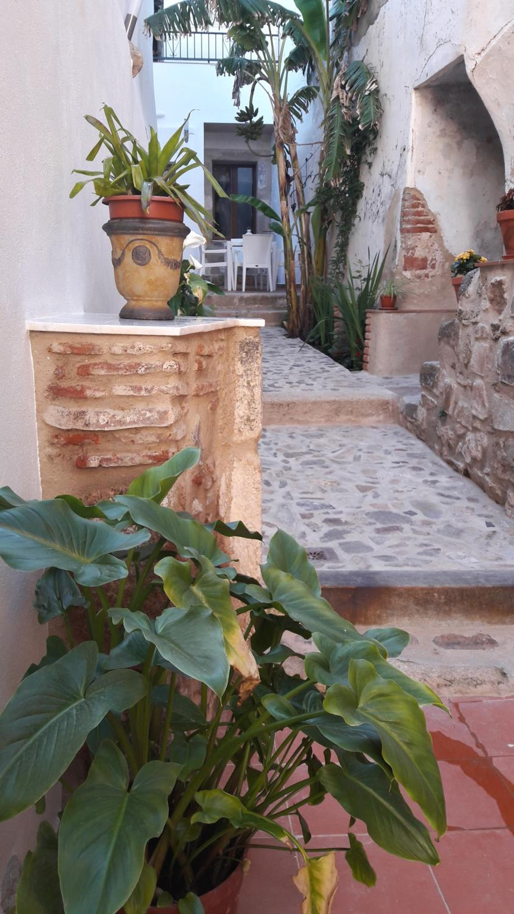 DIANA JARDÍN view 5