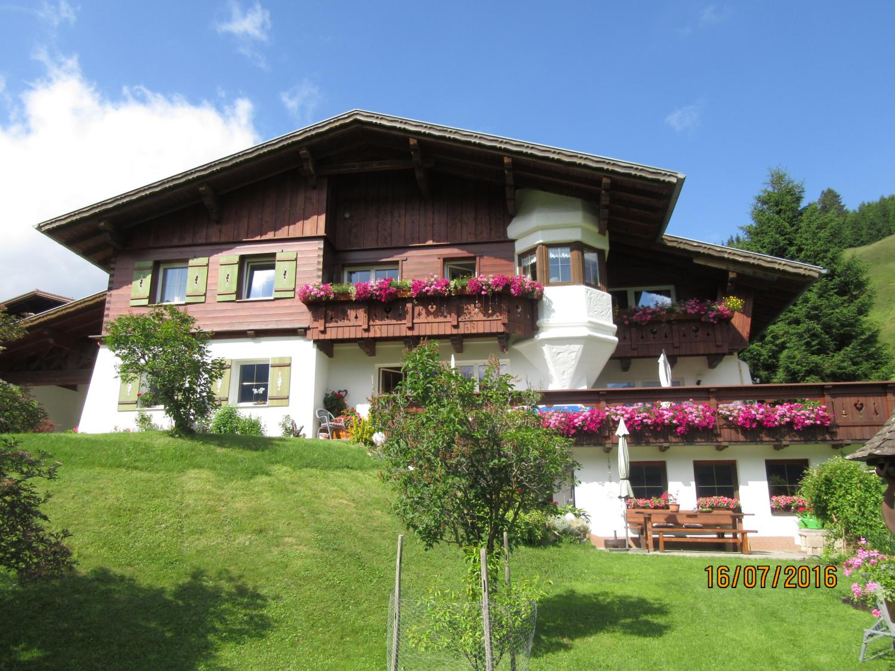 Photo 6