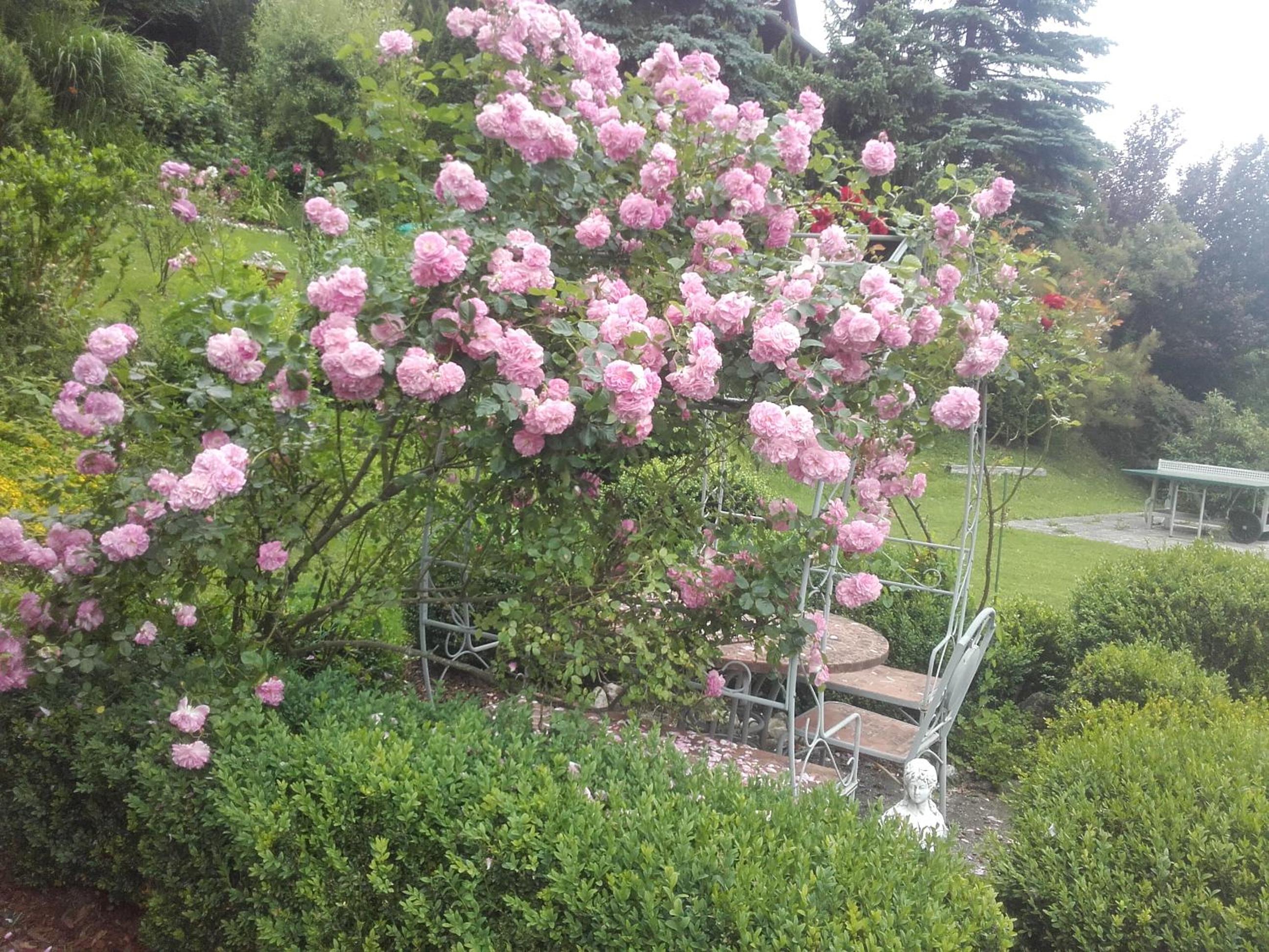 Appartement - Ferienwohnungen - Gästehaus Gabriele