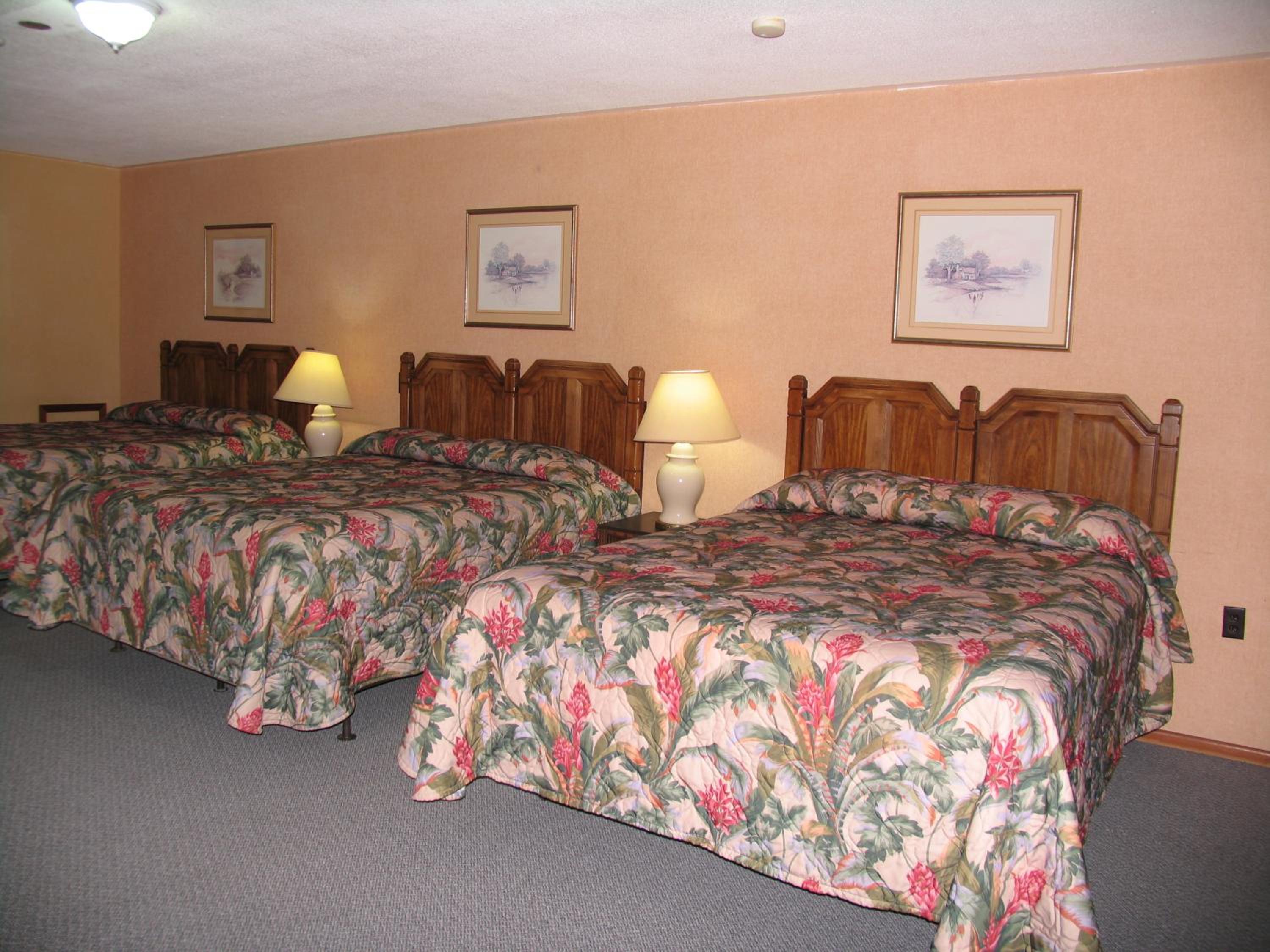 Seven Oakes Motel view 5