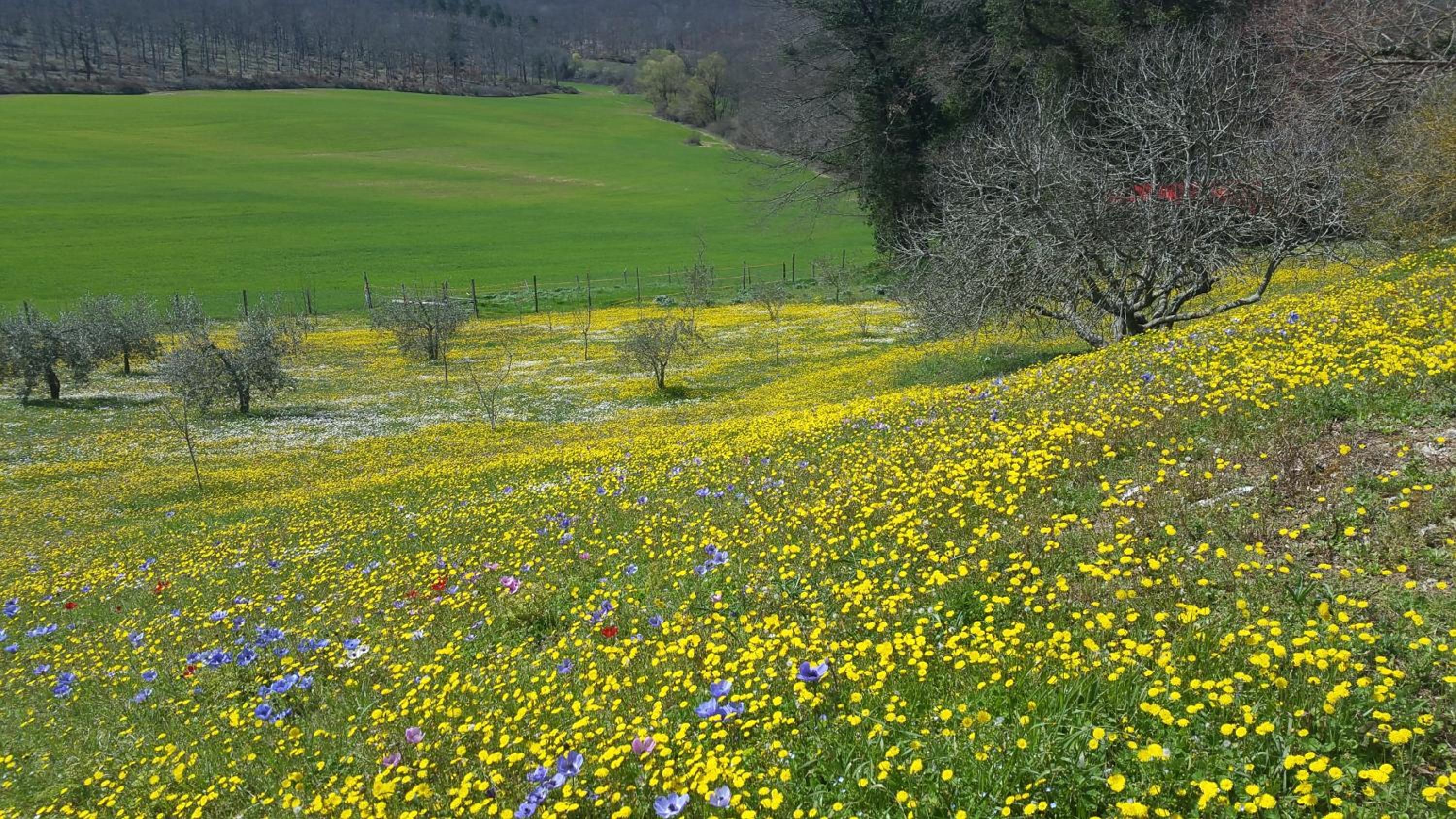 Agriturismo Natura E Salute