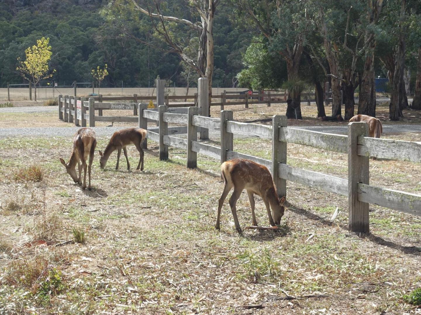 Hemley House Luxury in Halls Gap