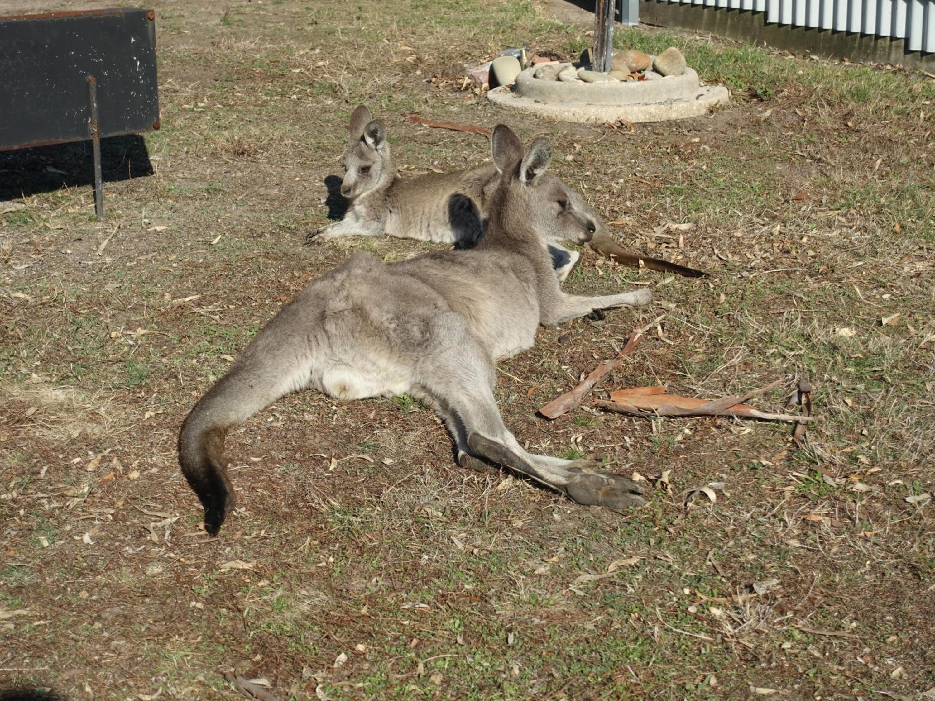 Hemley House Luxury in Halls Gap