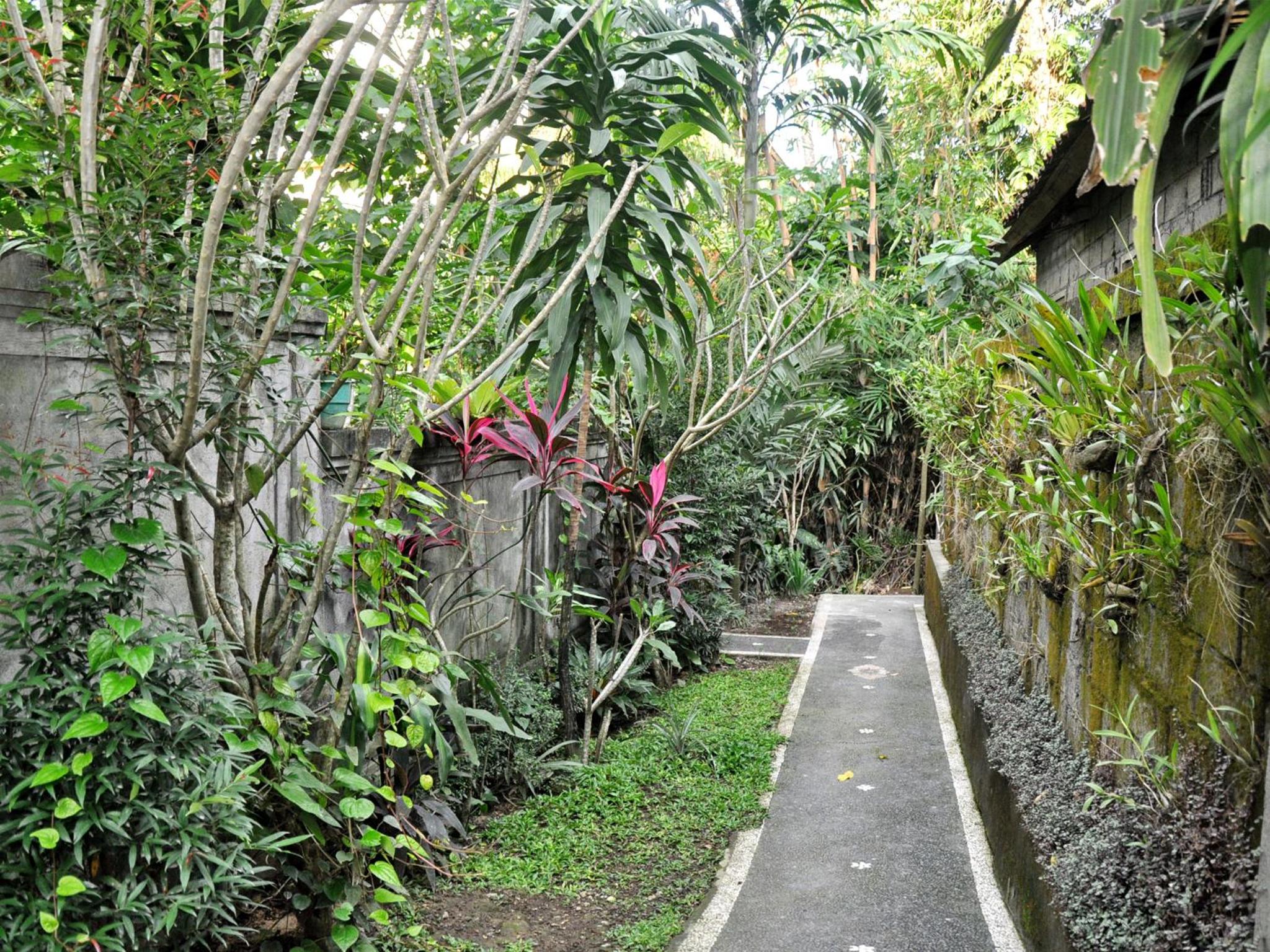 Pancer House view 4