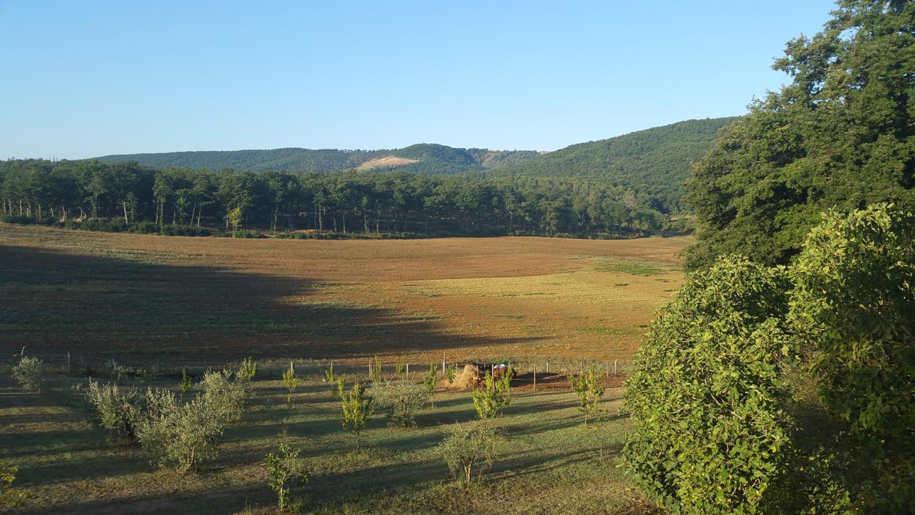 Agriturismo Natura E Salute