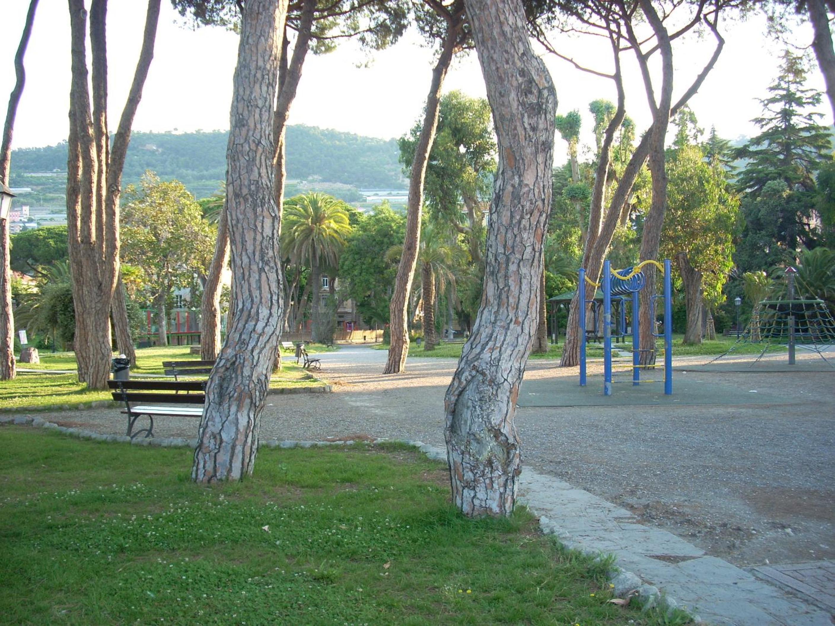 Photo 9