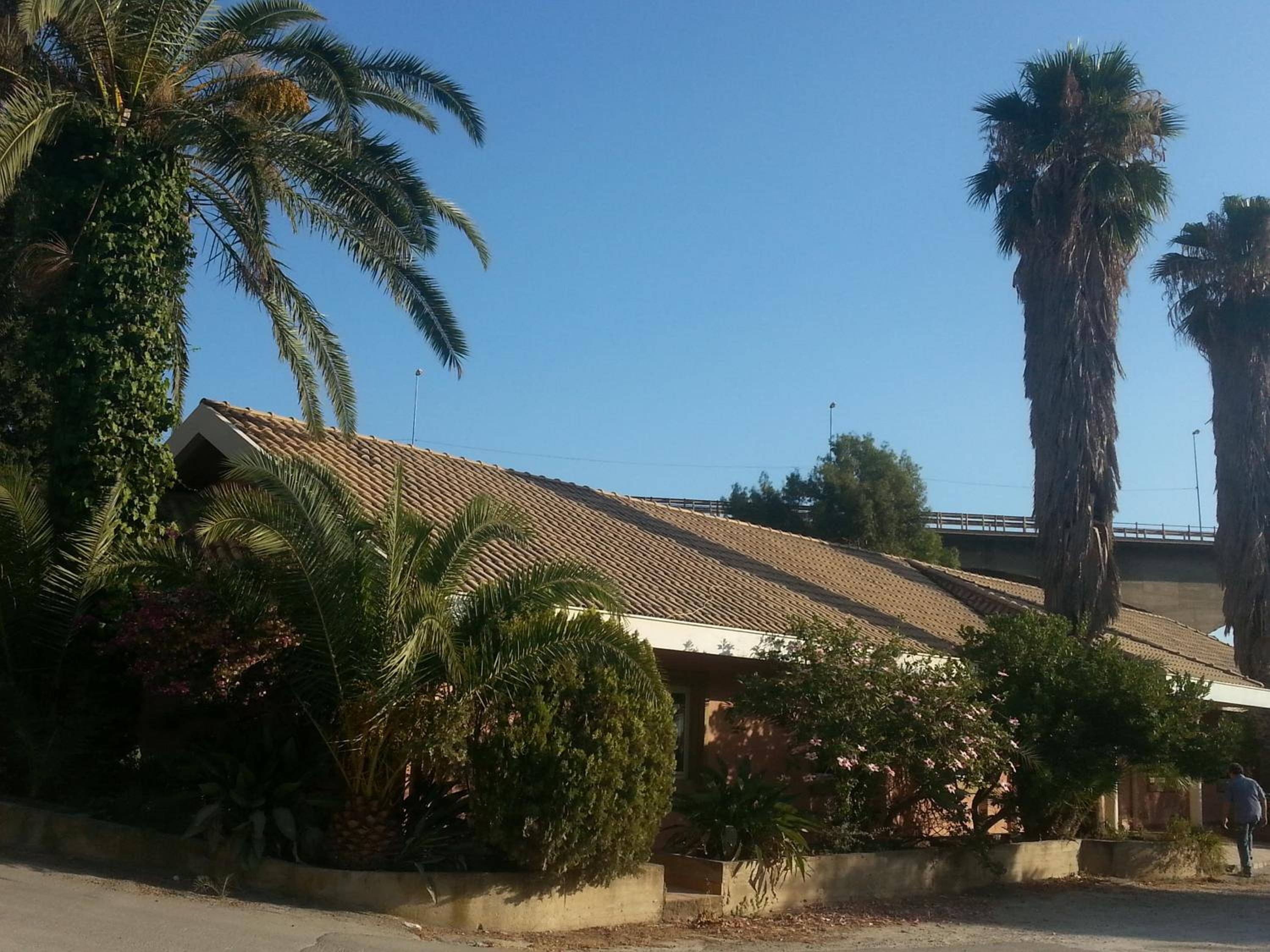 L'Albero