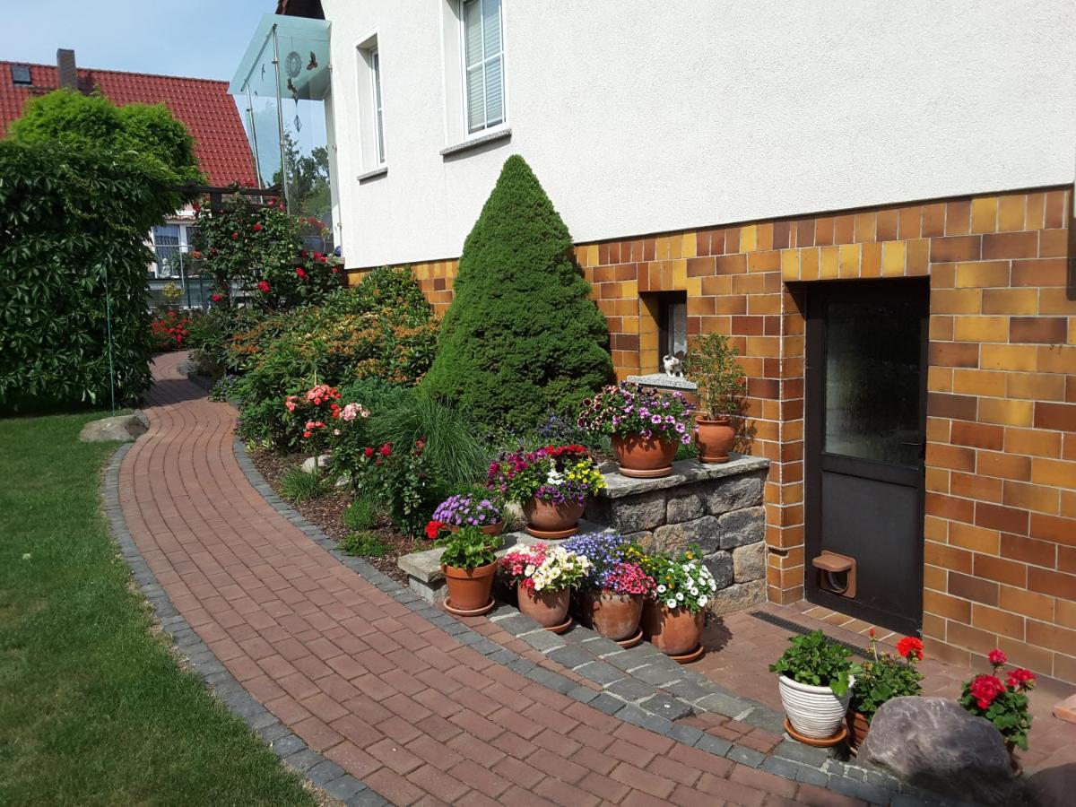 Ferienwohnung Schubert view 5