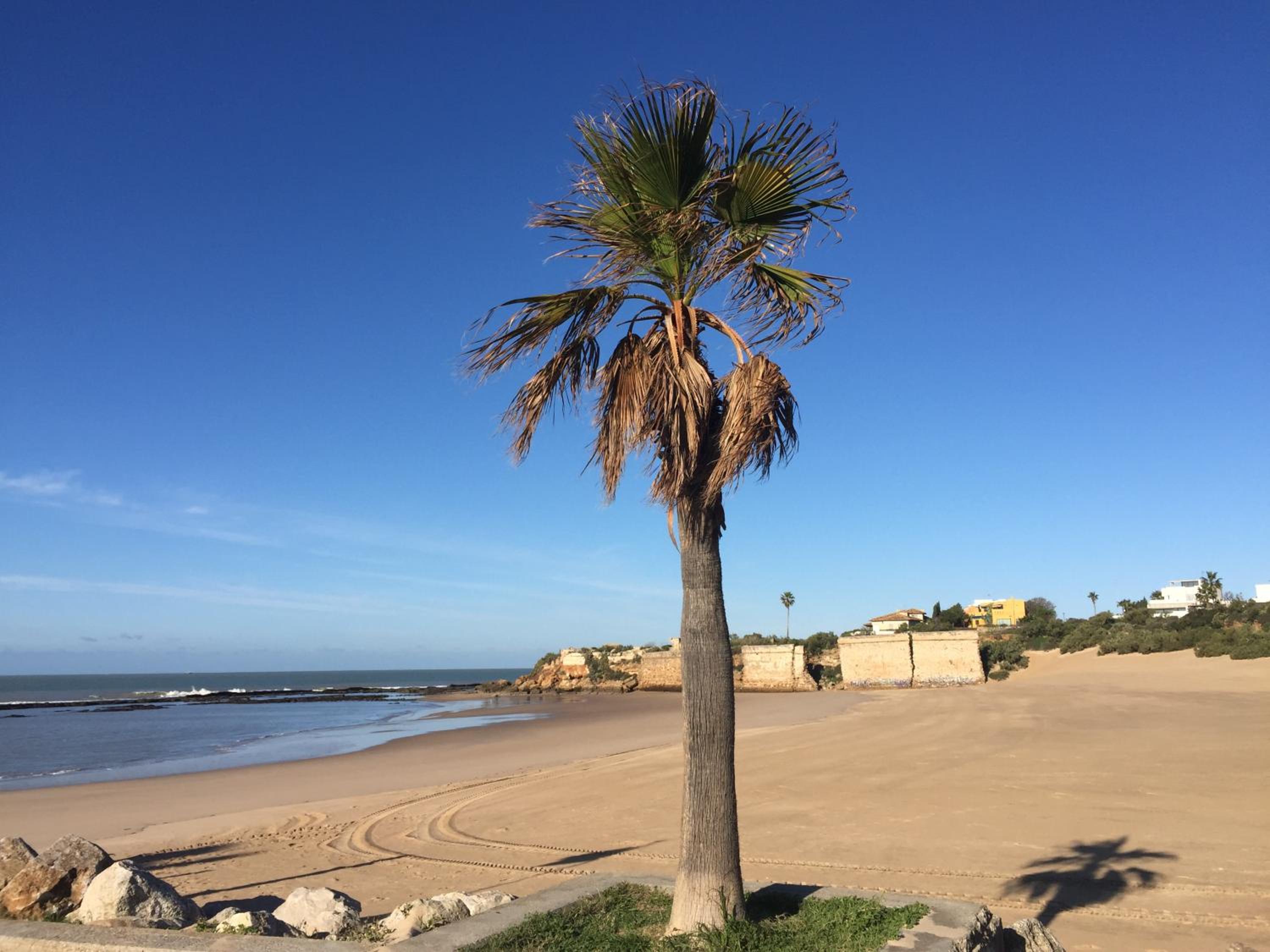 Wix Playa Puerto Sherry view 3