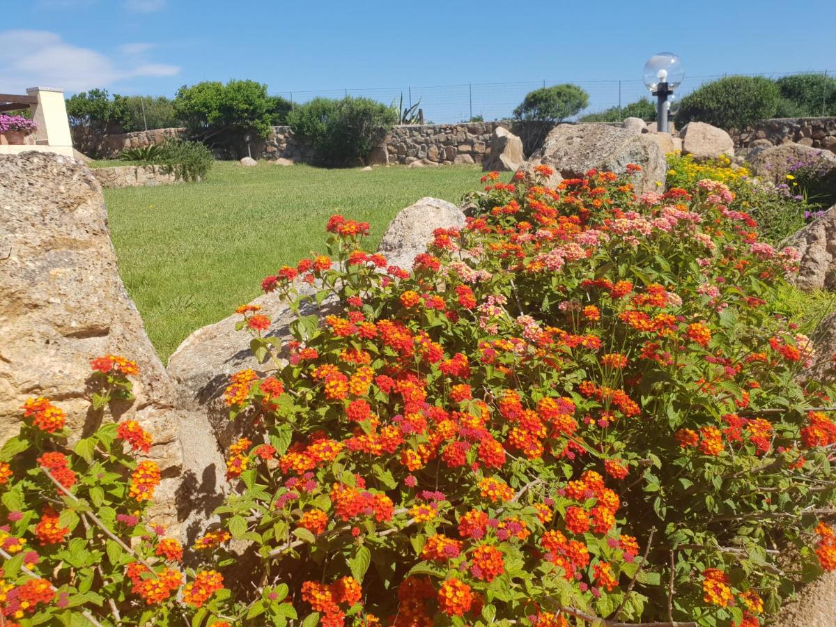 Villa Sprafundu - Property Image 42