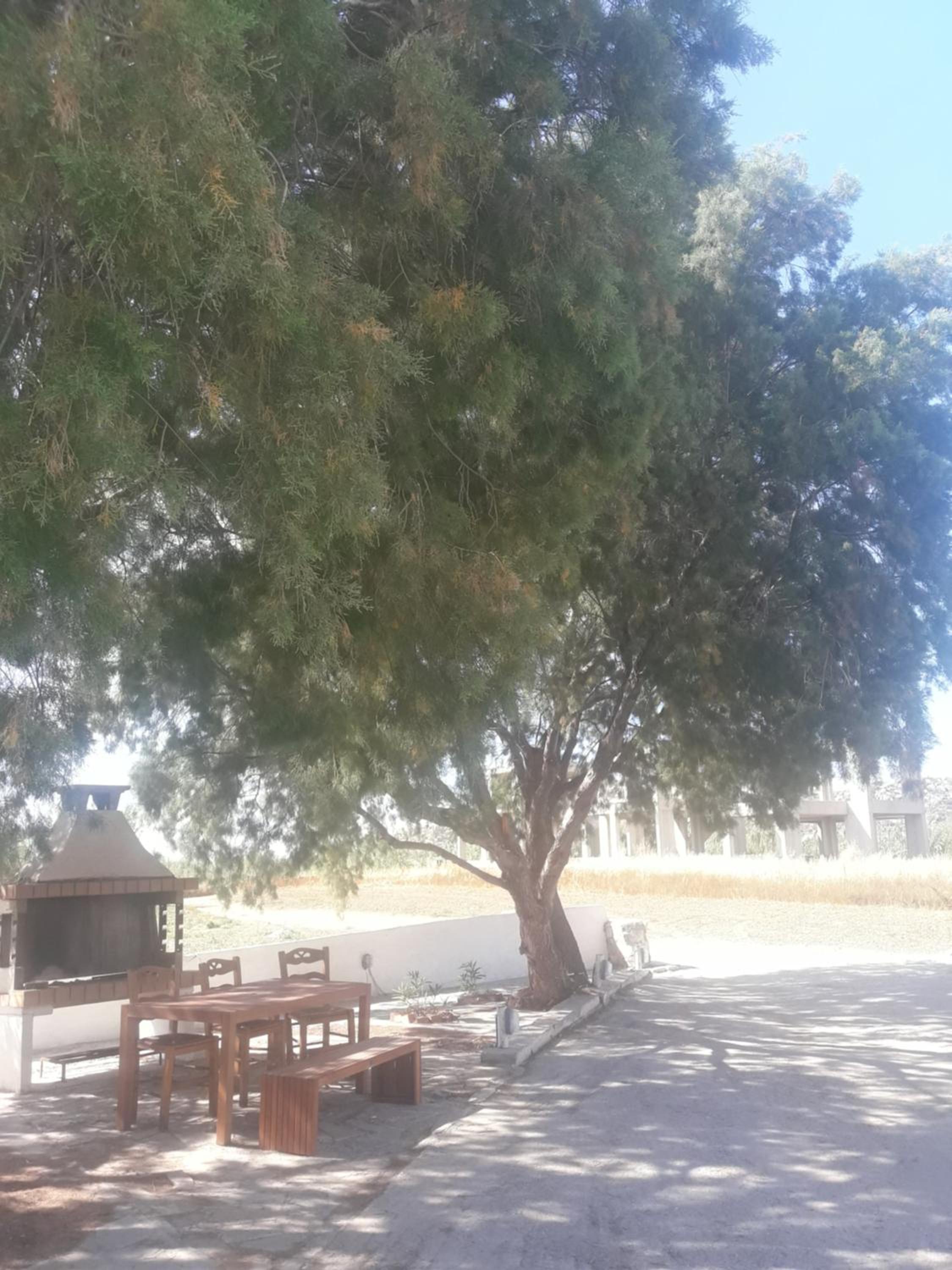 Studio Tolakis