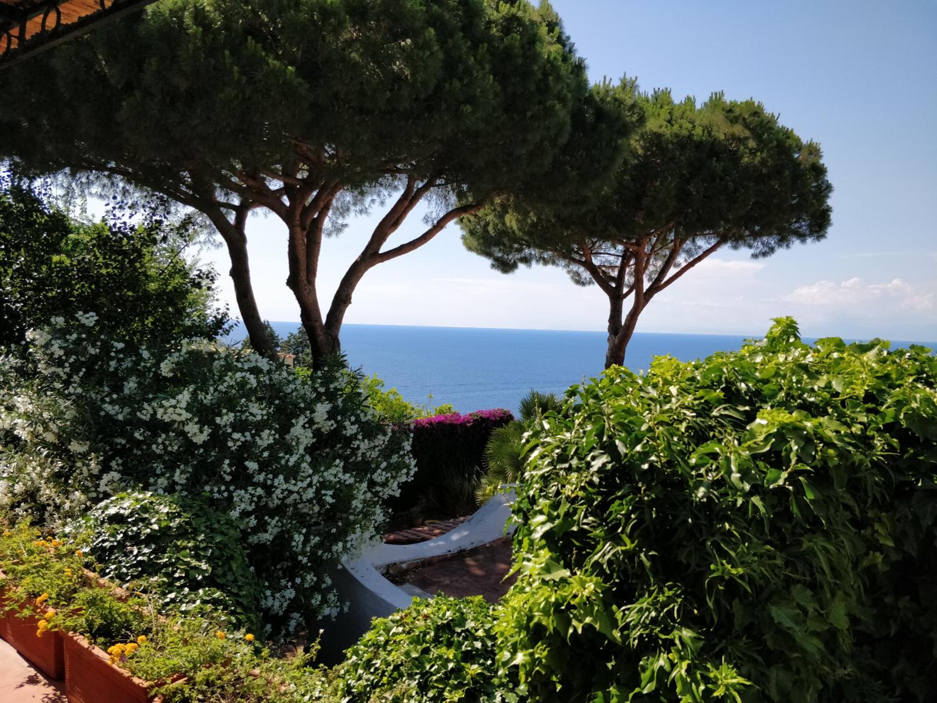 Villa Andrea