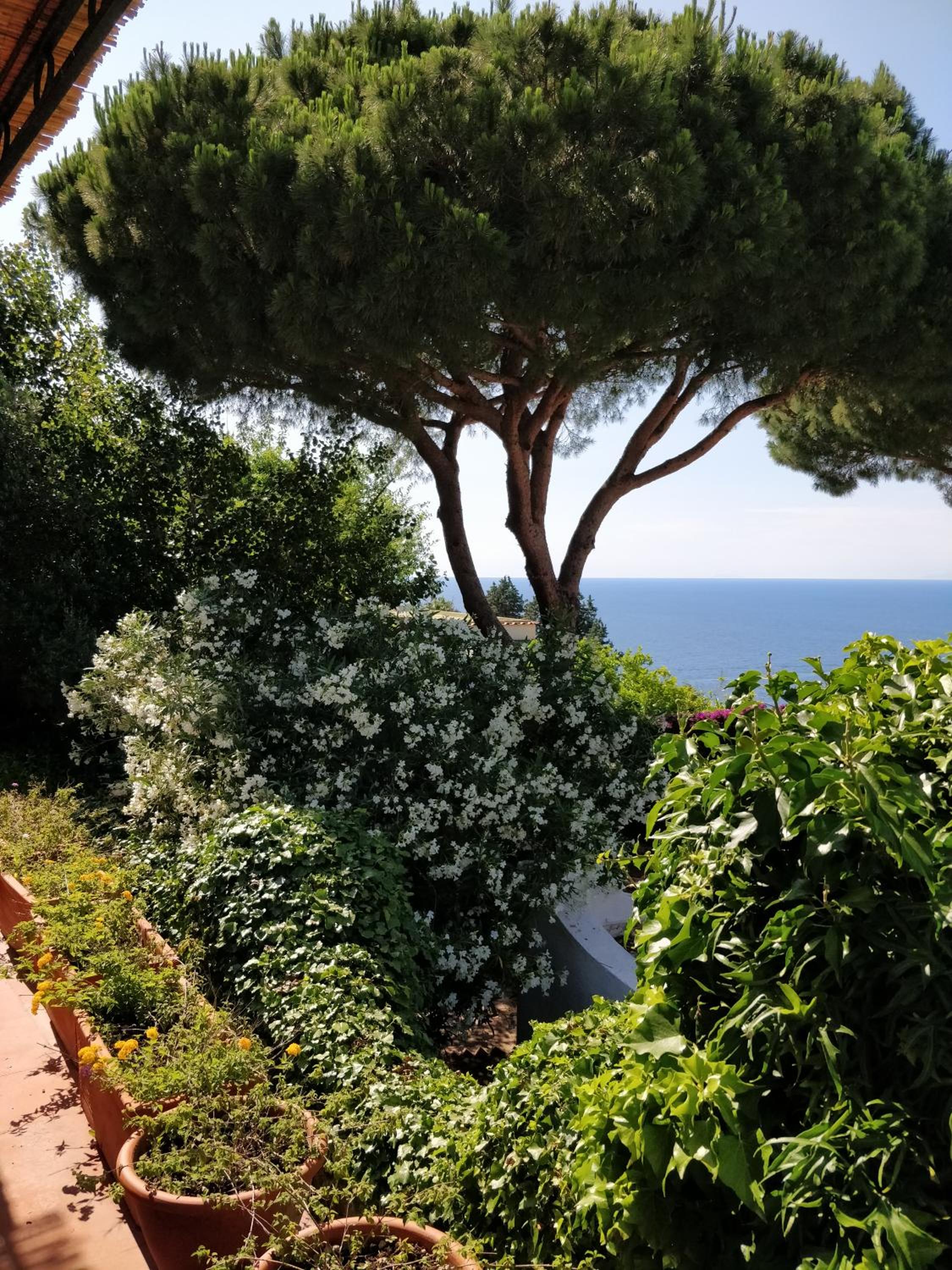 Villa Andrea