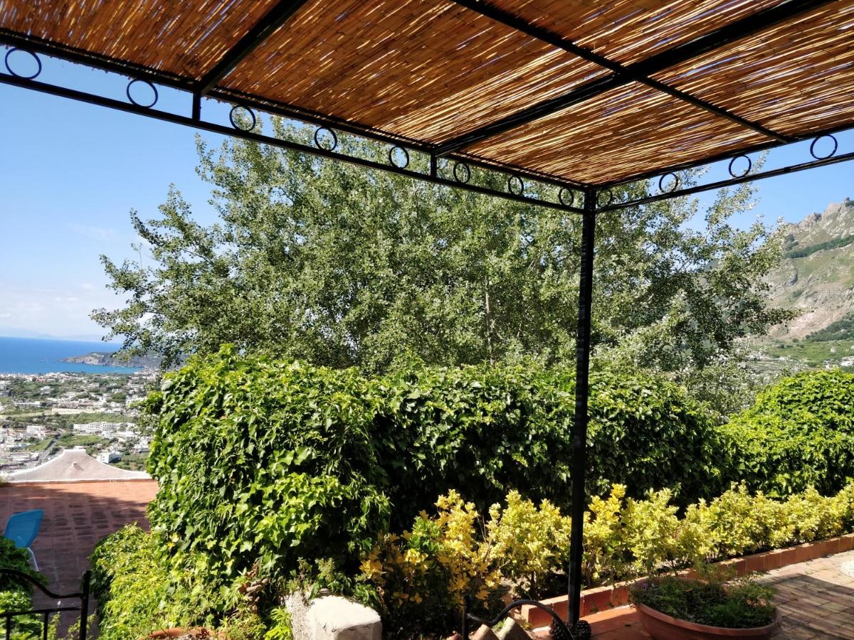 Villa Andrea