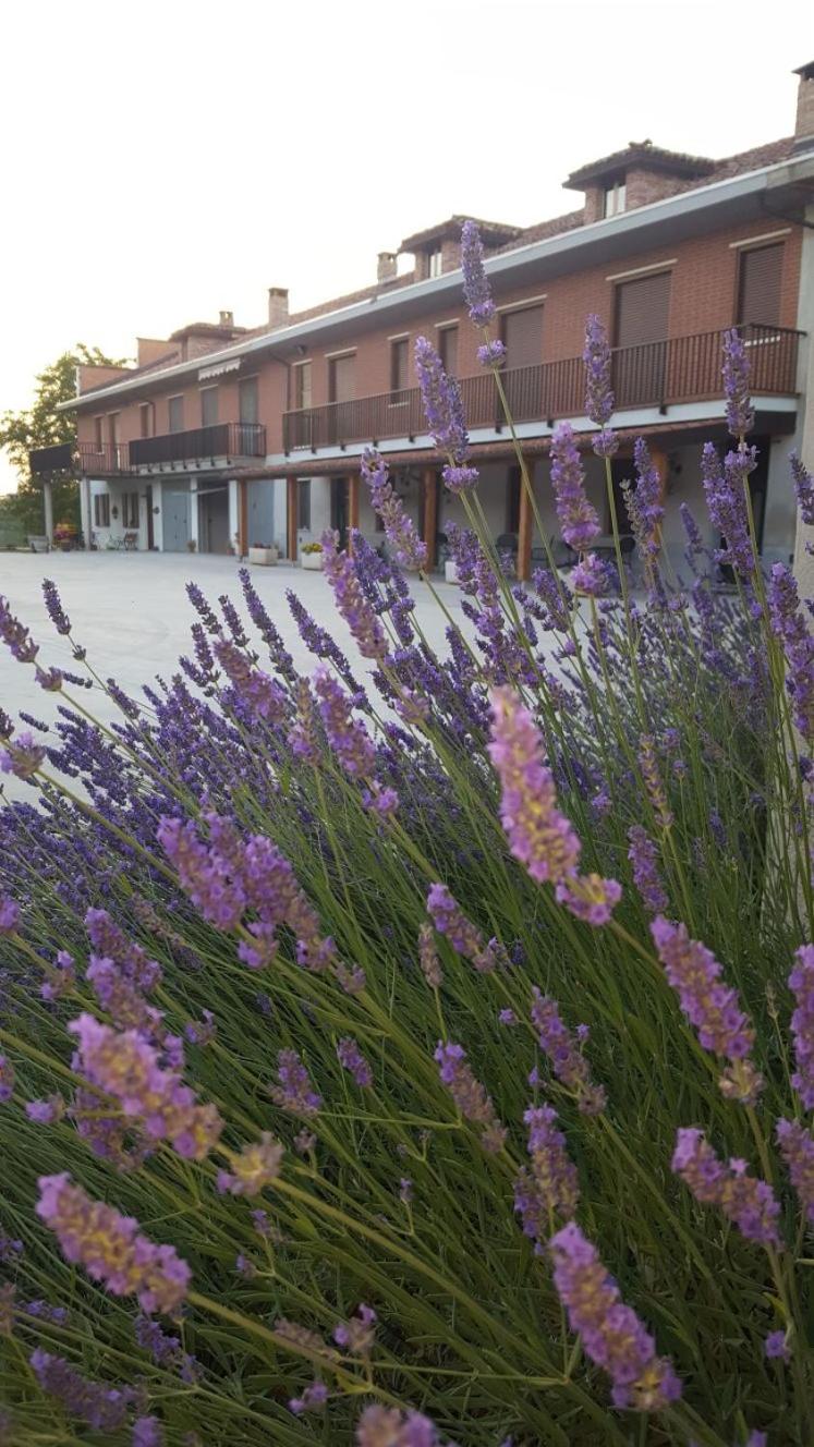 Cascina Longoria view 3