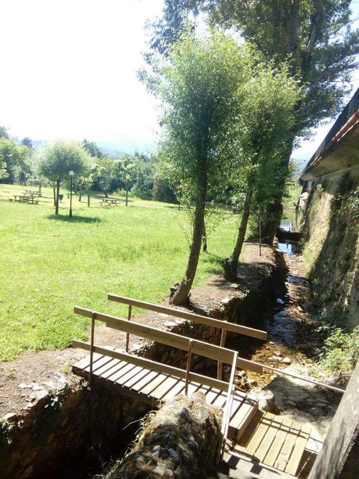 Photo 43