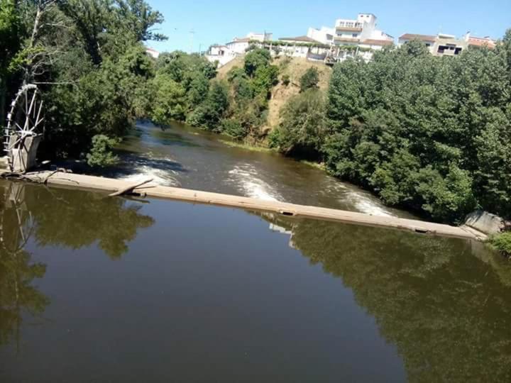 Photo 40