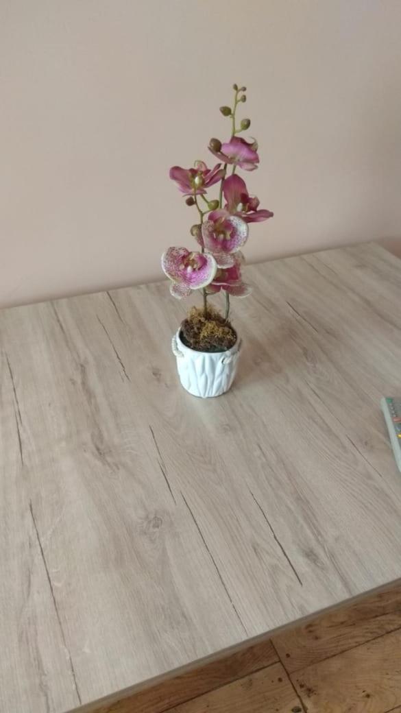 Iren Apartment